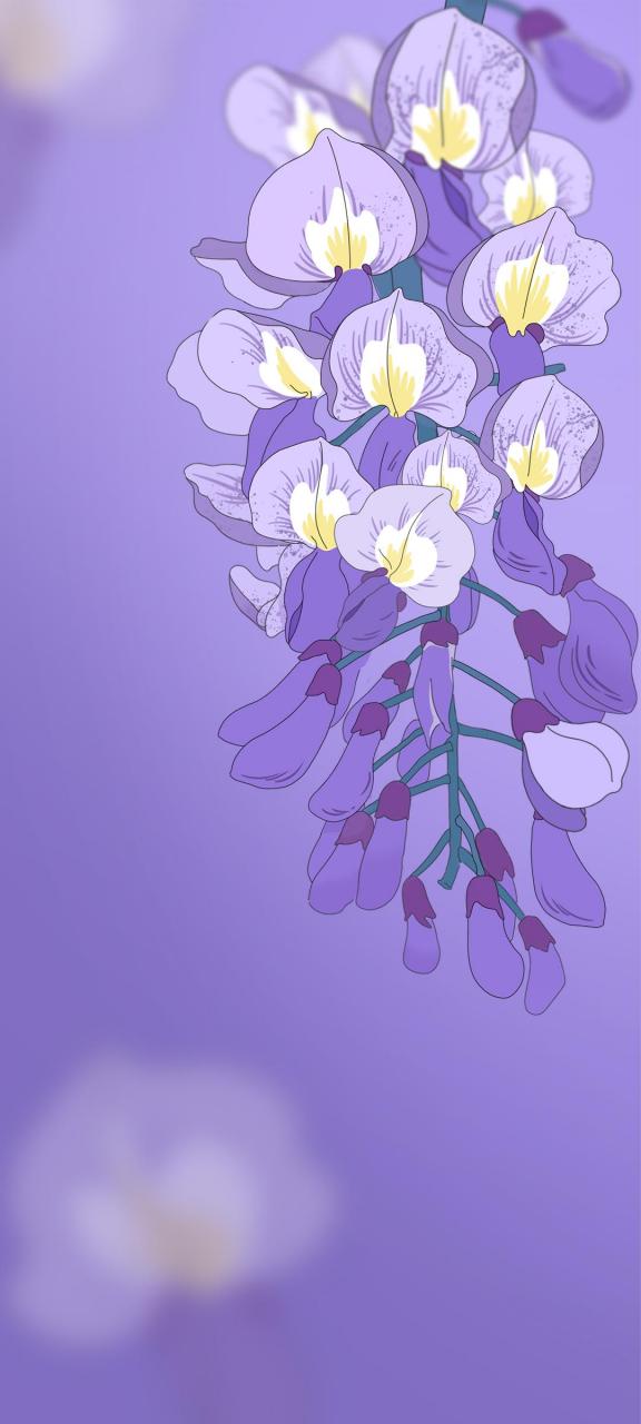 摩托罗拉折叠手机moto razr 40 系列壁纸,网盘分享  摩托罗拉上线了两