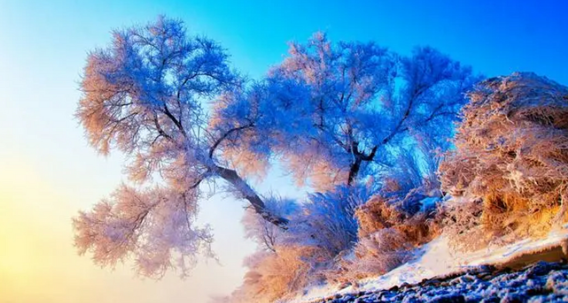 世界奇观 吉林雾凇岛-中国吉林 吉林雾凇仪态万方,婀娜多姿,独具丰韵