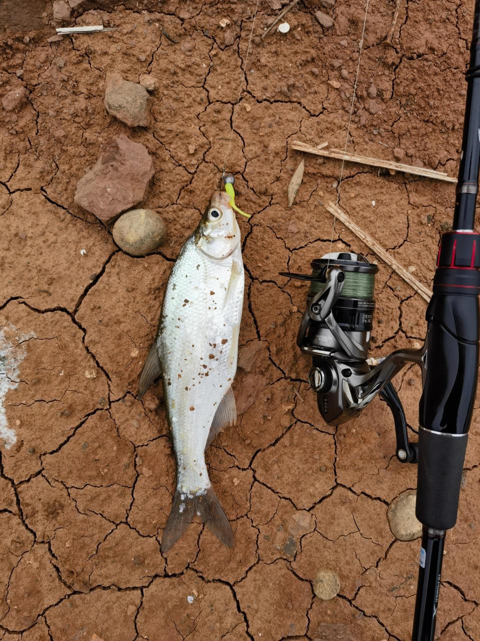 五一假期第一天三岔湖路亚钓鱼差点打龟 又到了钓鱼的时候了,五一假期