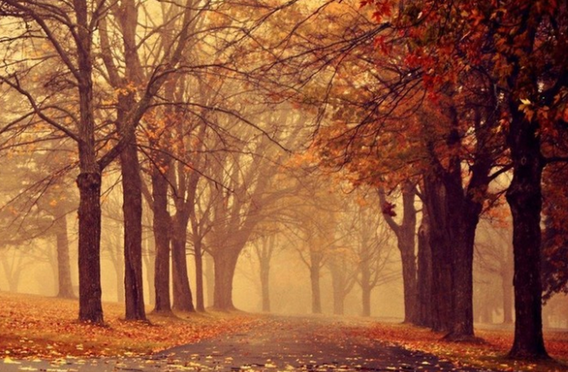 一个聪明的人,懂得在这几个时刻示弱  "非不争,天下莫能与之争.