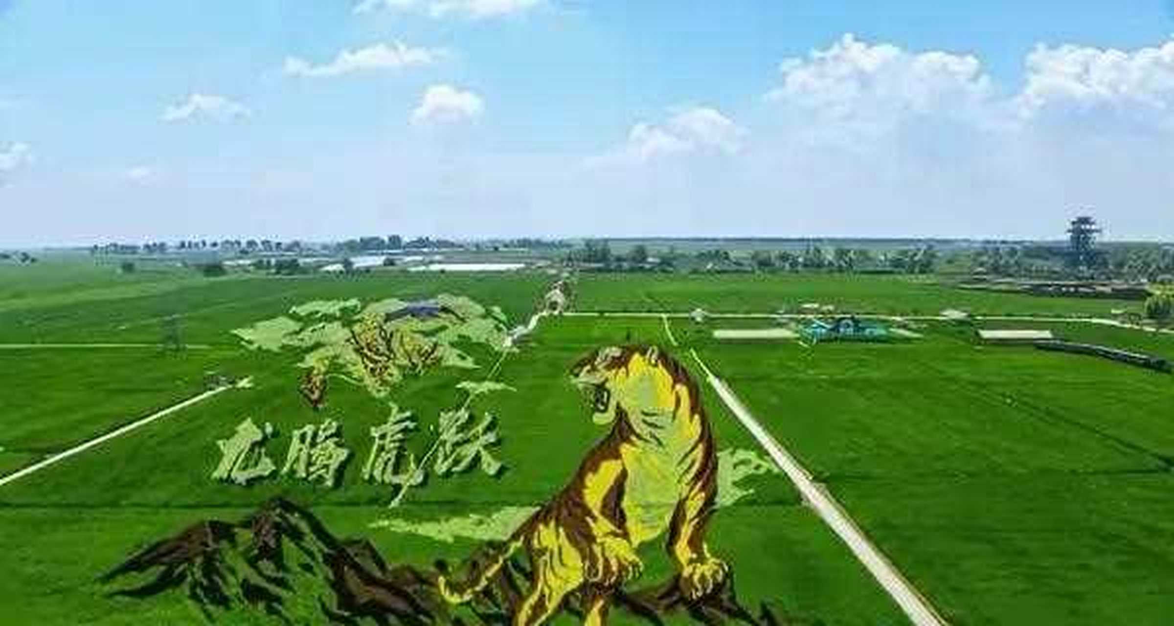 沈阳市沈北新区"稻梦空间"已进入旅游旺季.[汗]