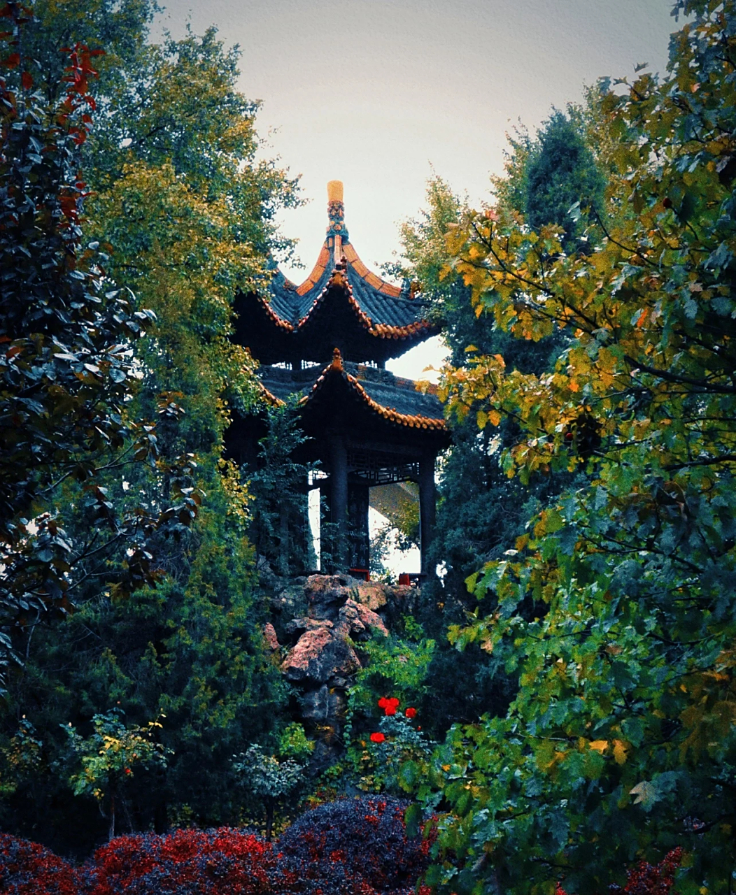 太原傅山碑林公园小众赏秋地  太原傅山碑林公园,一片静谧的秋色等待