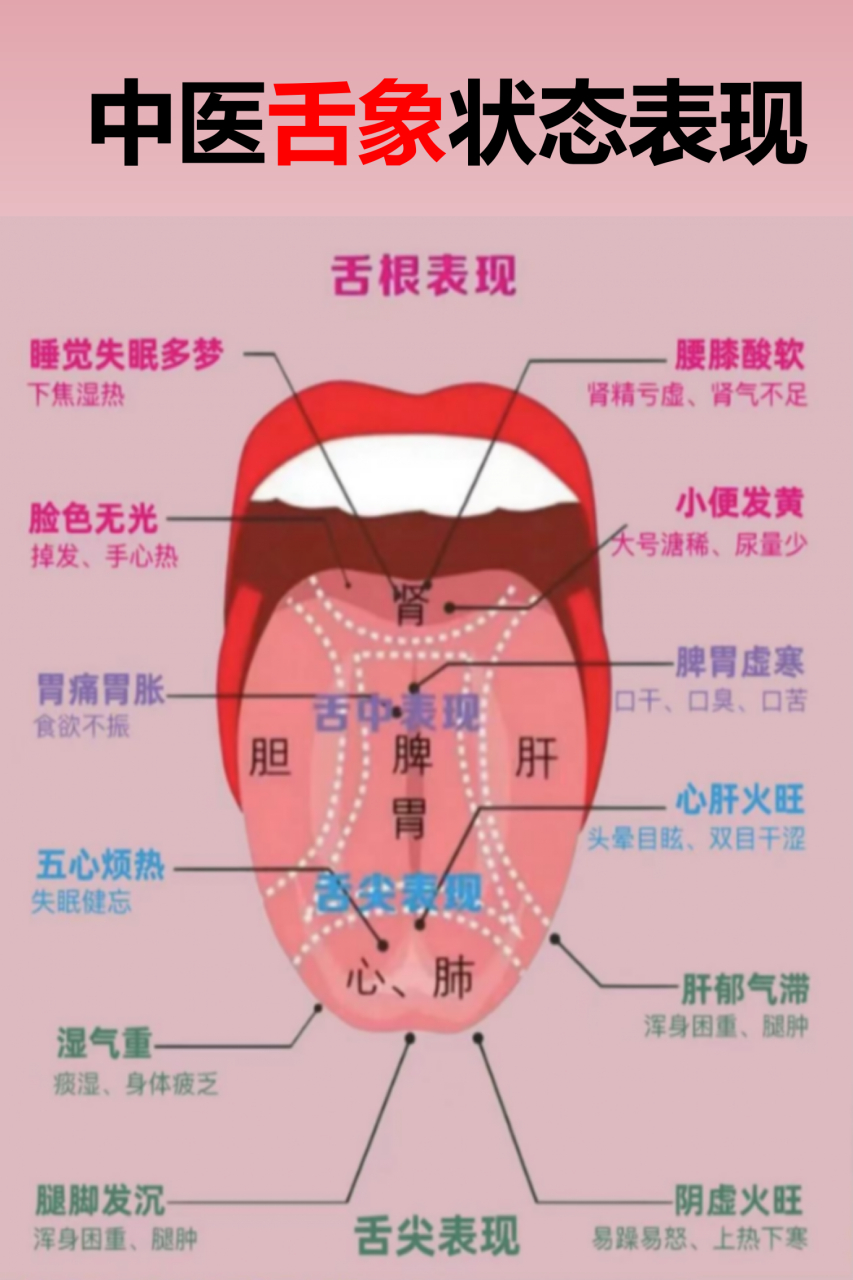 舌苔图片及解说图片