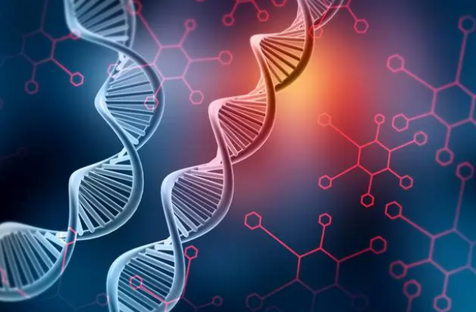 dna是生命的基本遗传物质,它由四种碱基(a,t,c,g)组成,并决定了生物