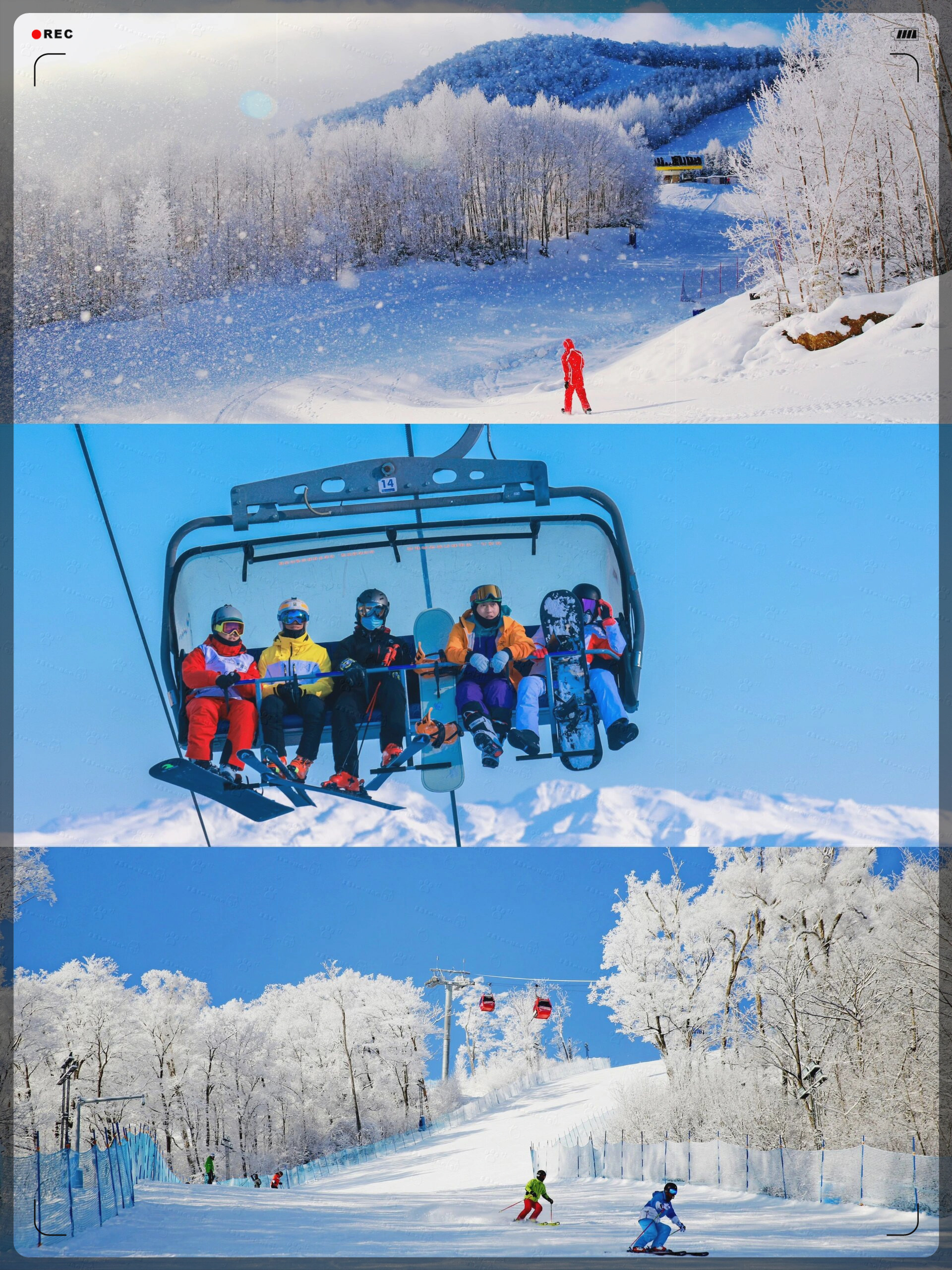 一起去长白山滑雪吧   #我要上热门# 每年冬天最期待的就是可以去