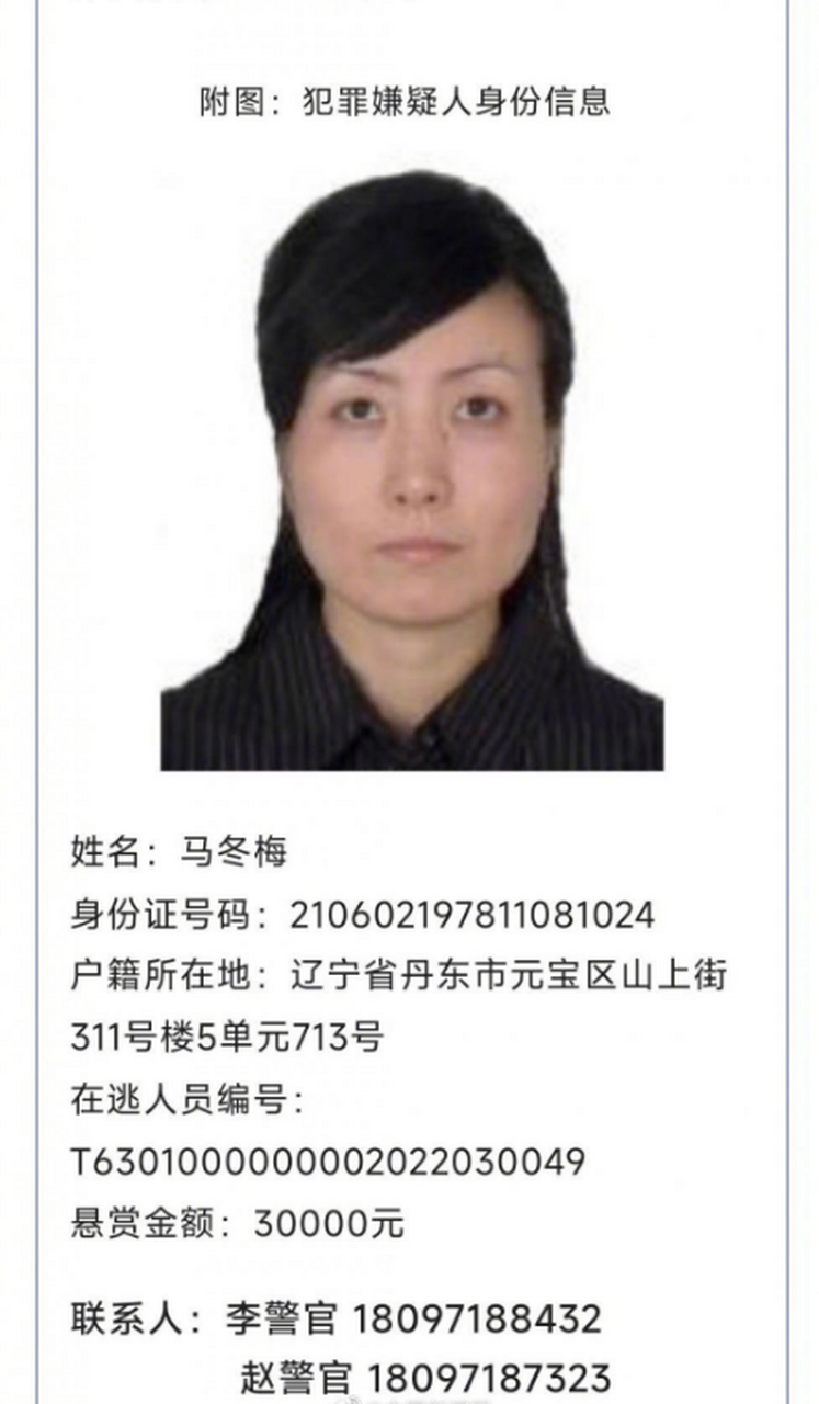 警方悬赏3万缉捕马冬梅,涉嫌电信诈骗 3月14日,西宁公安发布关于征集