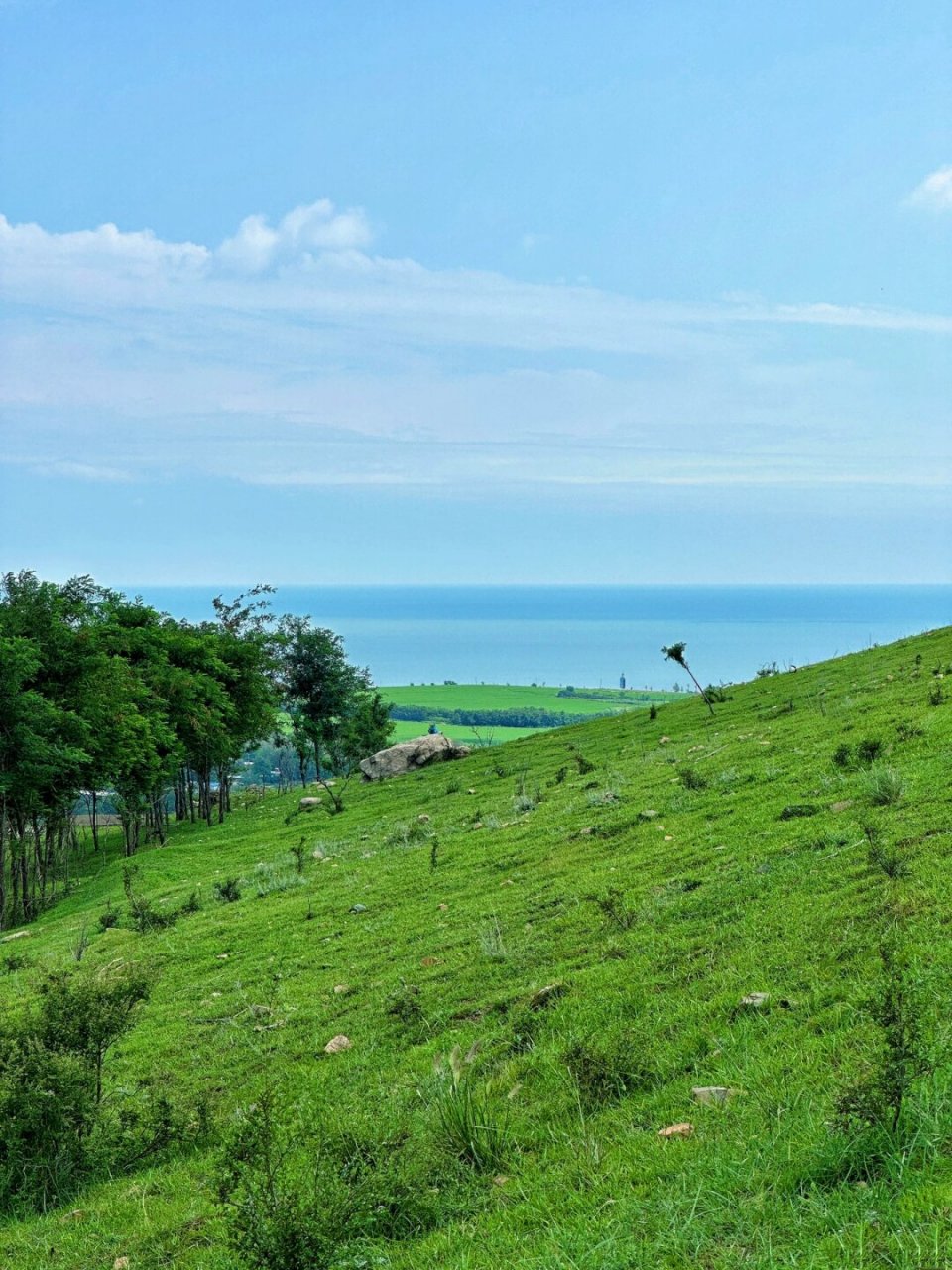 不是新西兰是锦州海湾山  在这个美妙的地方,你可以尽享草坪,海岸线和