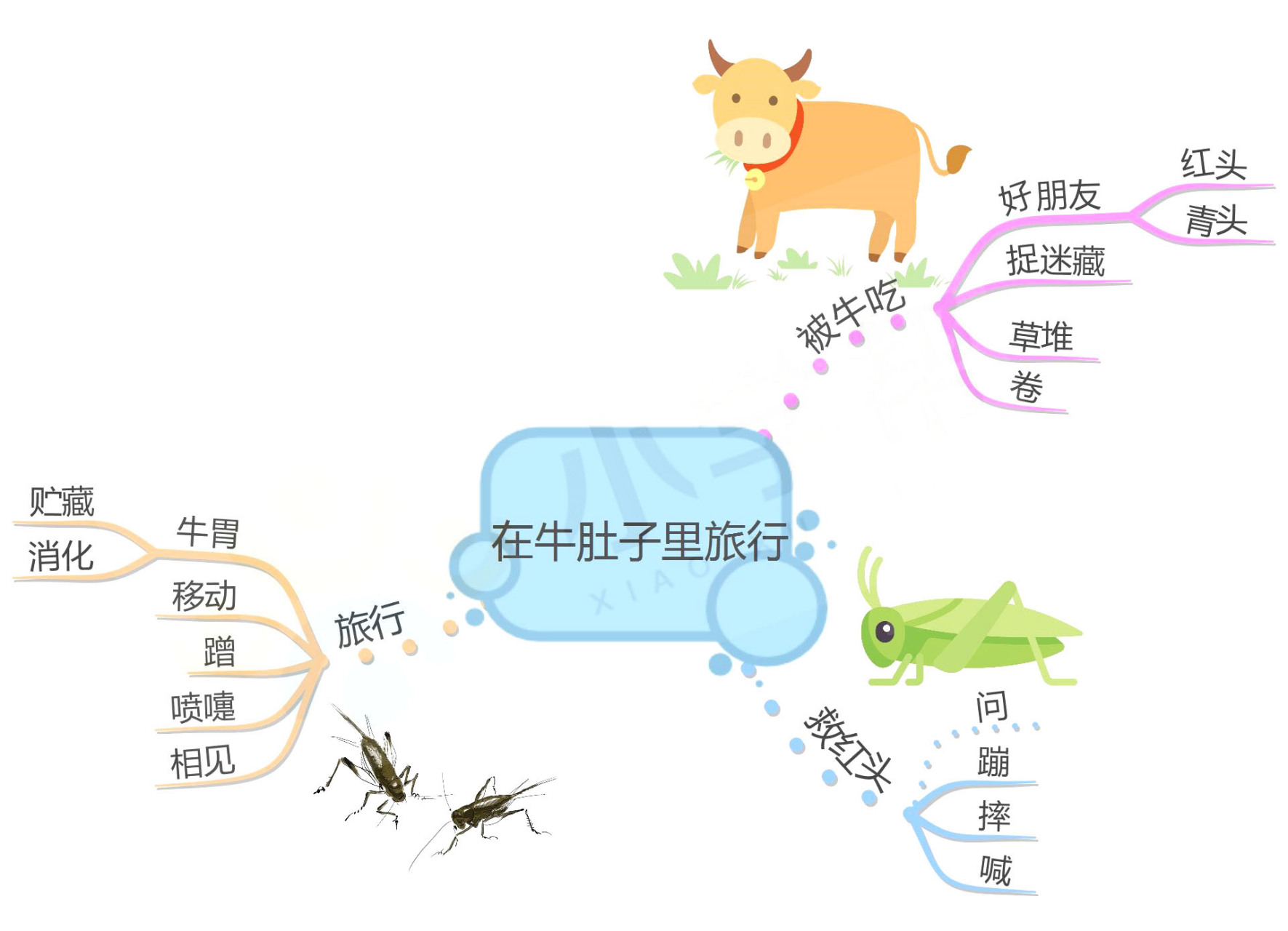 三年级上册语文《在牛肚子里旅行》课文内容思维导图,需要?请领走