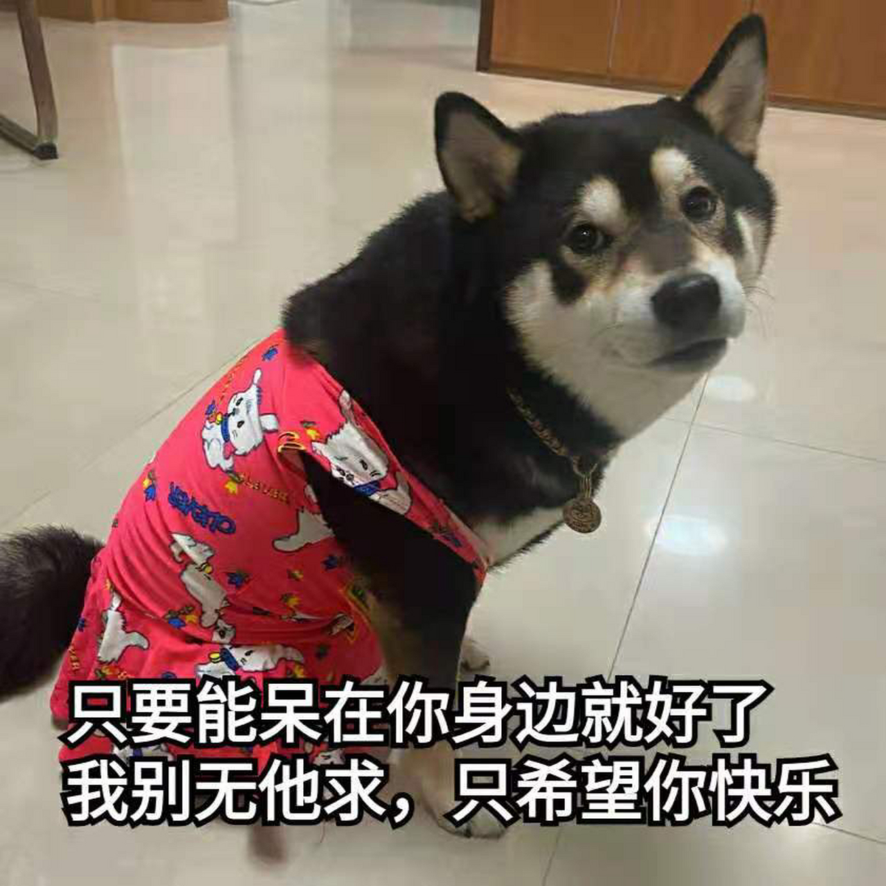 婊里婊气表情包大赏,标言标语1 云爹妈们做的语录,真的是太让人拳头