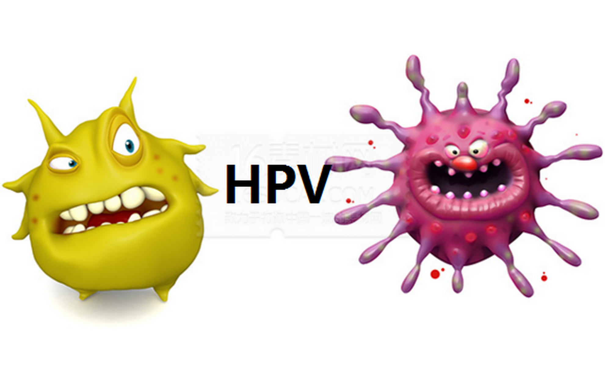 hpv是什么病卡通图片