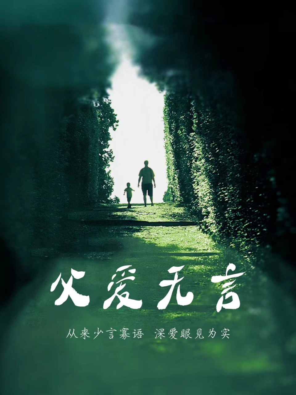 风雨人生路,父亲,曾带我们蹒跚起步,曾为我们保驾护航