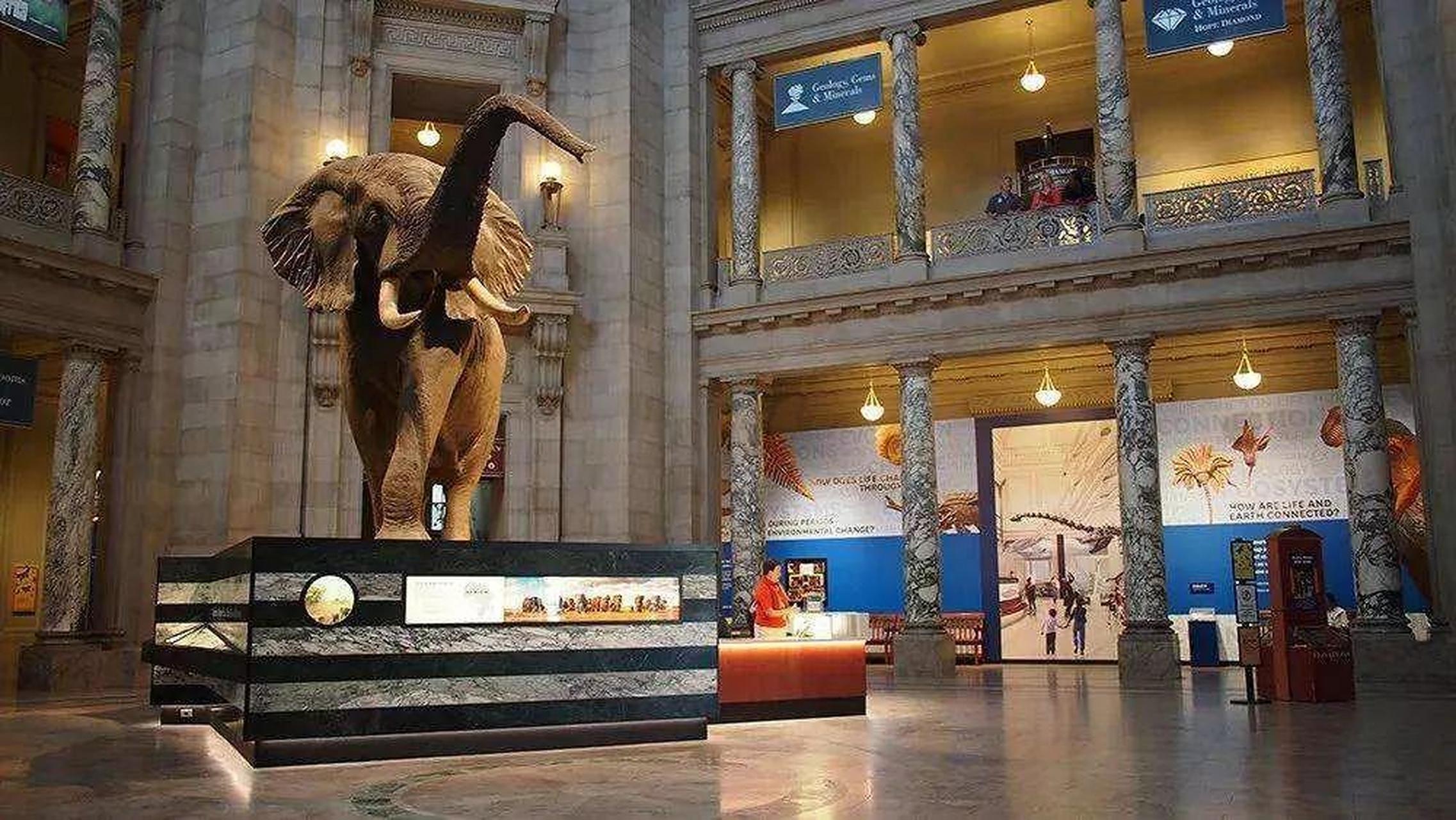 美国国家自然历史博物馆开馆于1910年,其中的展品多达一亿二千万件