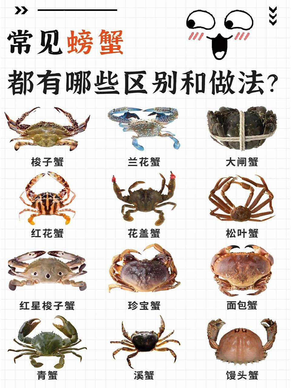 青蟹的正确做法大全(青蟹怎么做好吃又简单)