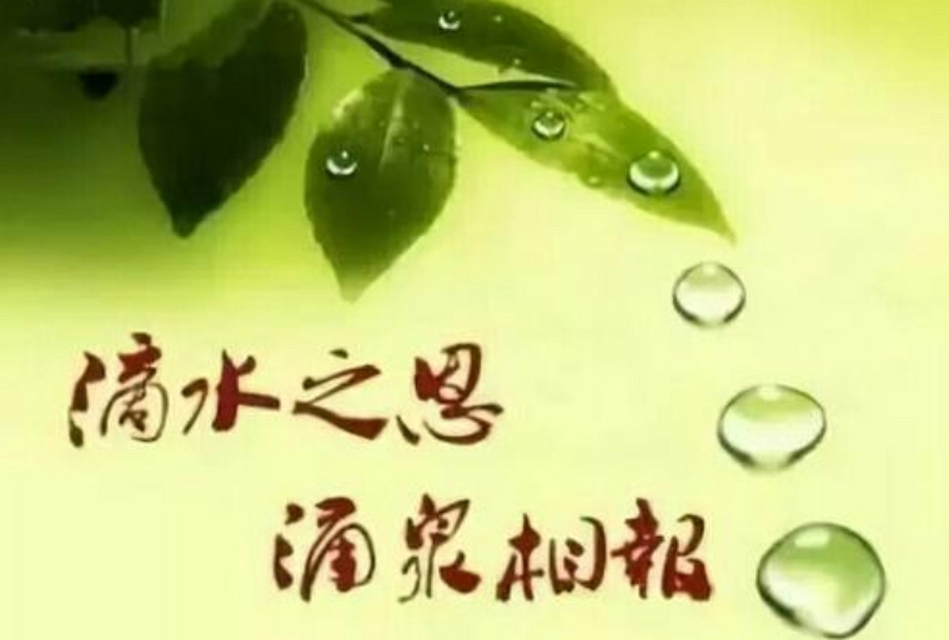 常言道:"滴水之恩,当涌泉相报."人这一辈子,懂得感恩最为重要.