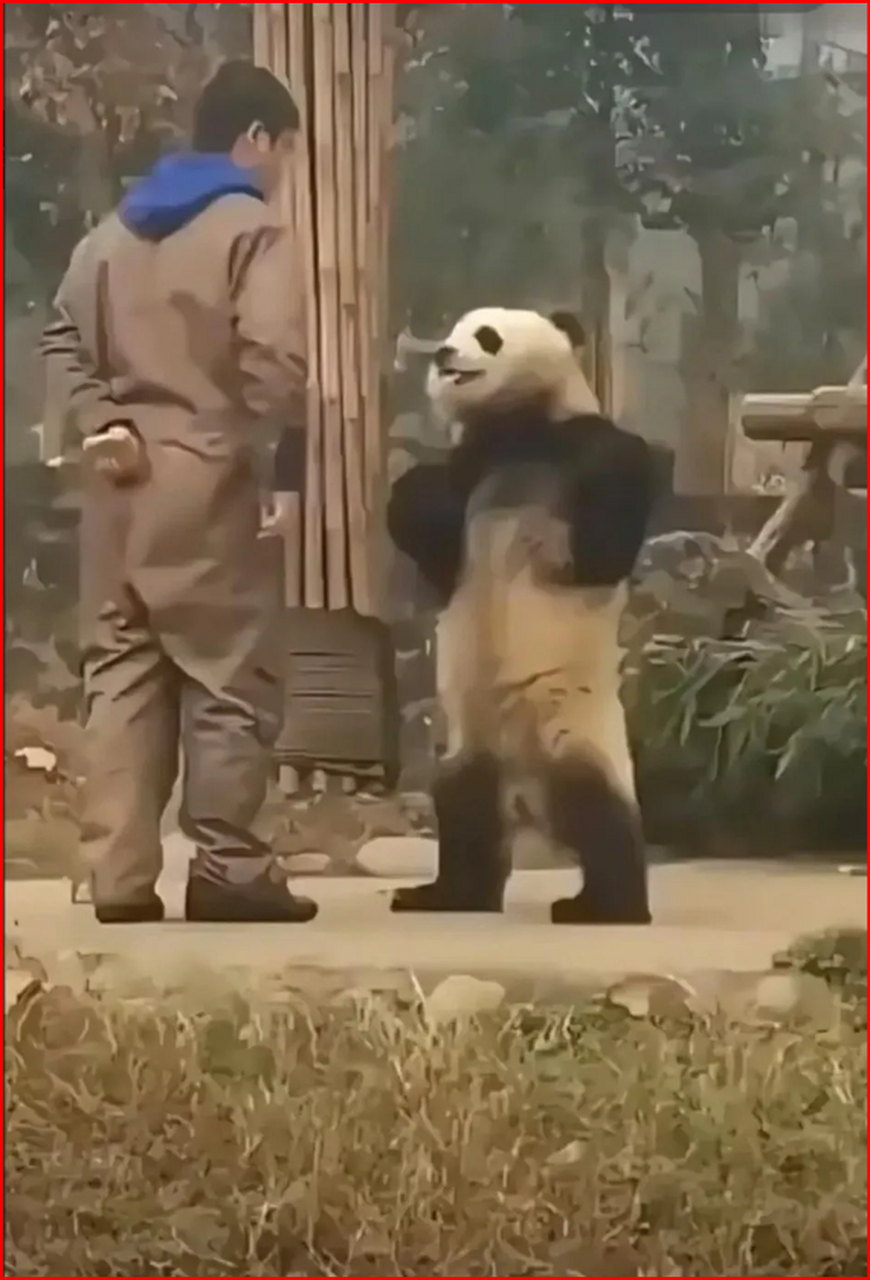 吵架第一要素,一定要站立叉腰气势足!