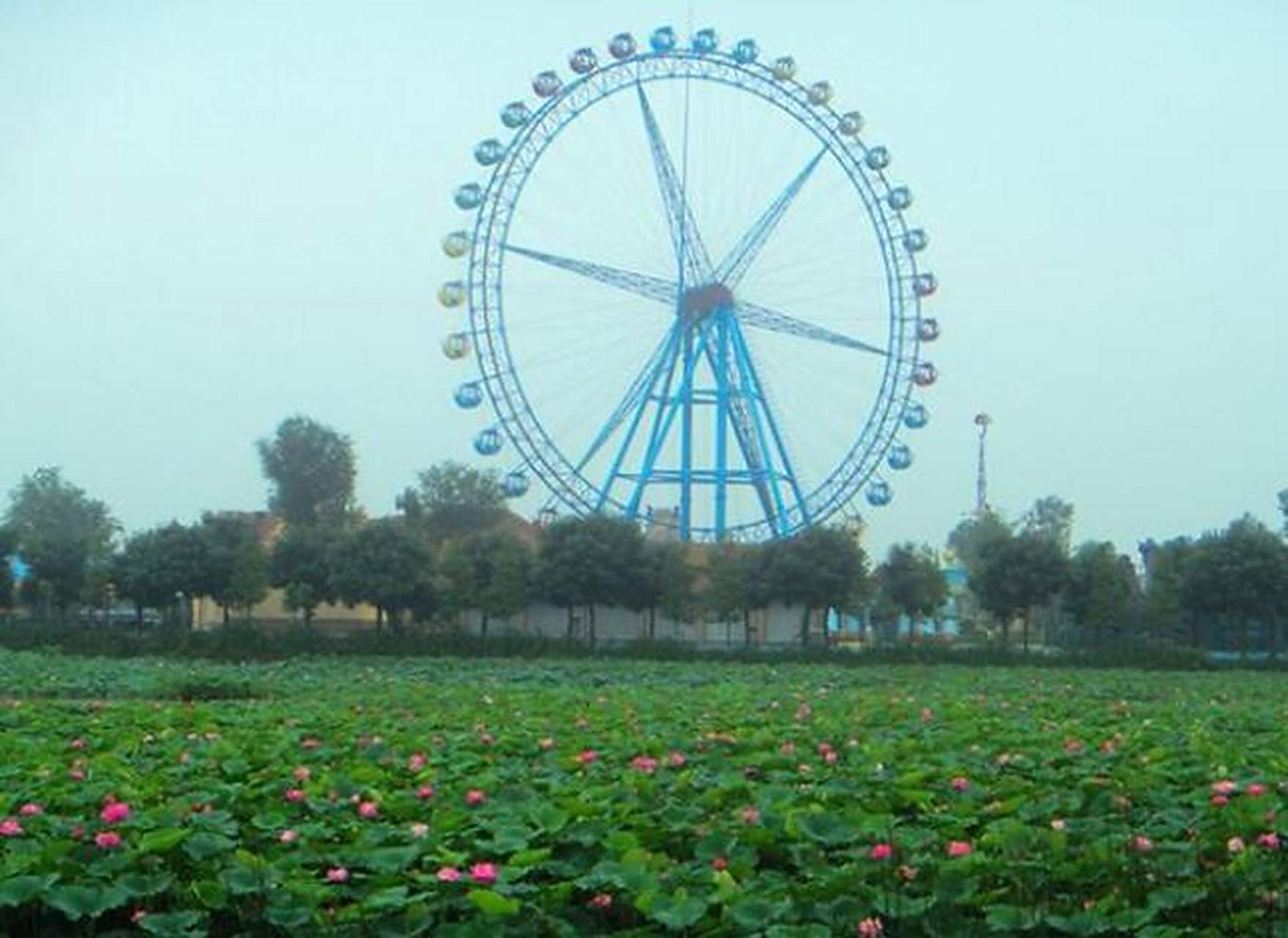 水天花月景区,位于四川省眉山市东坡区眉山岷江大桥(泡菜博物馆附近).
