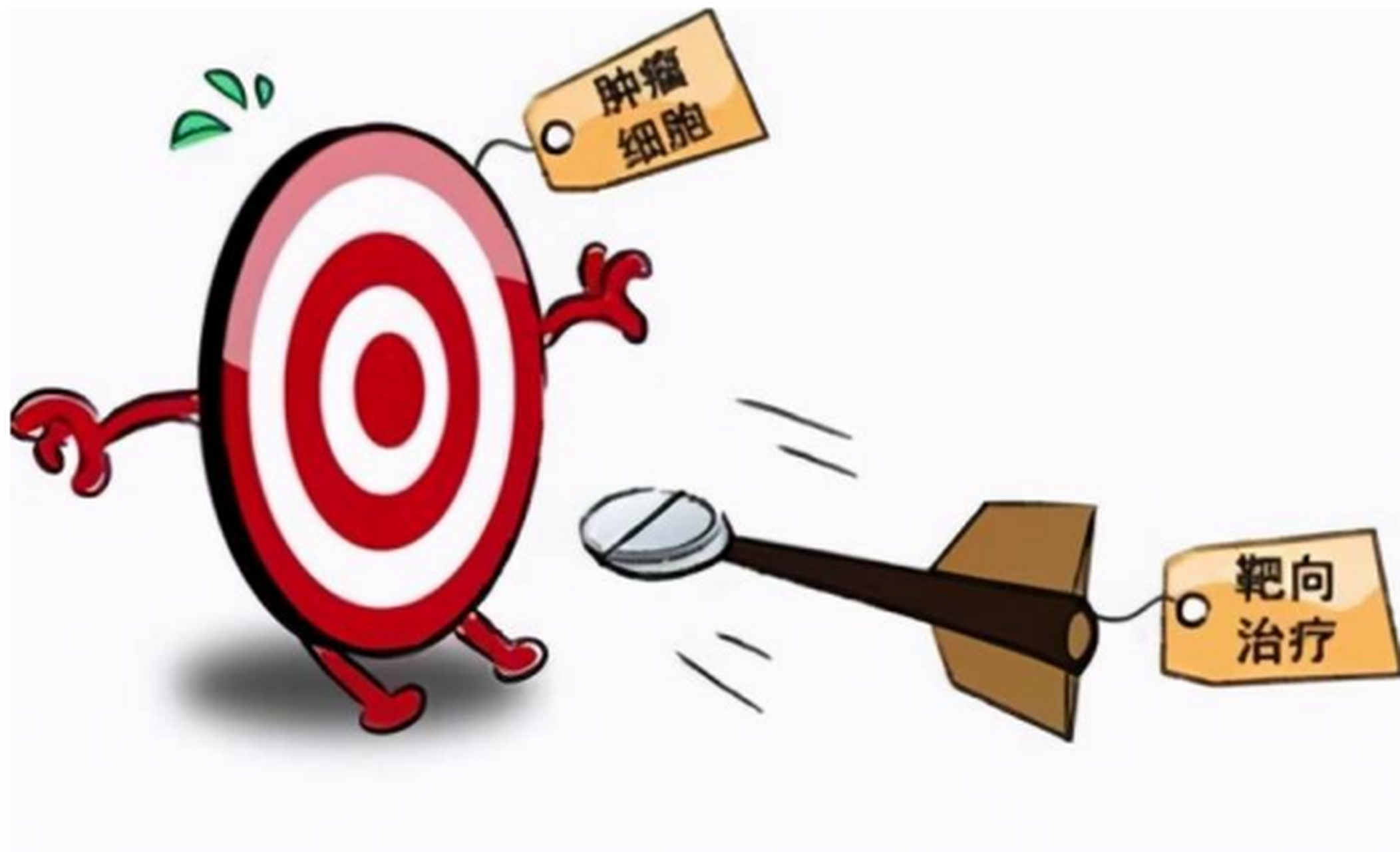 随着抗肿瘤药物的发展,人们对于肿瘤的治疗不再局限于传统的化疗