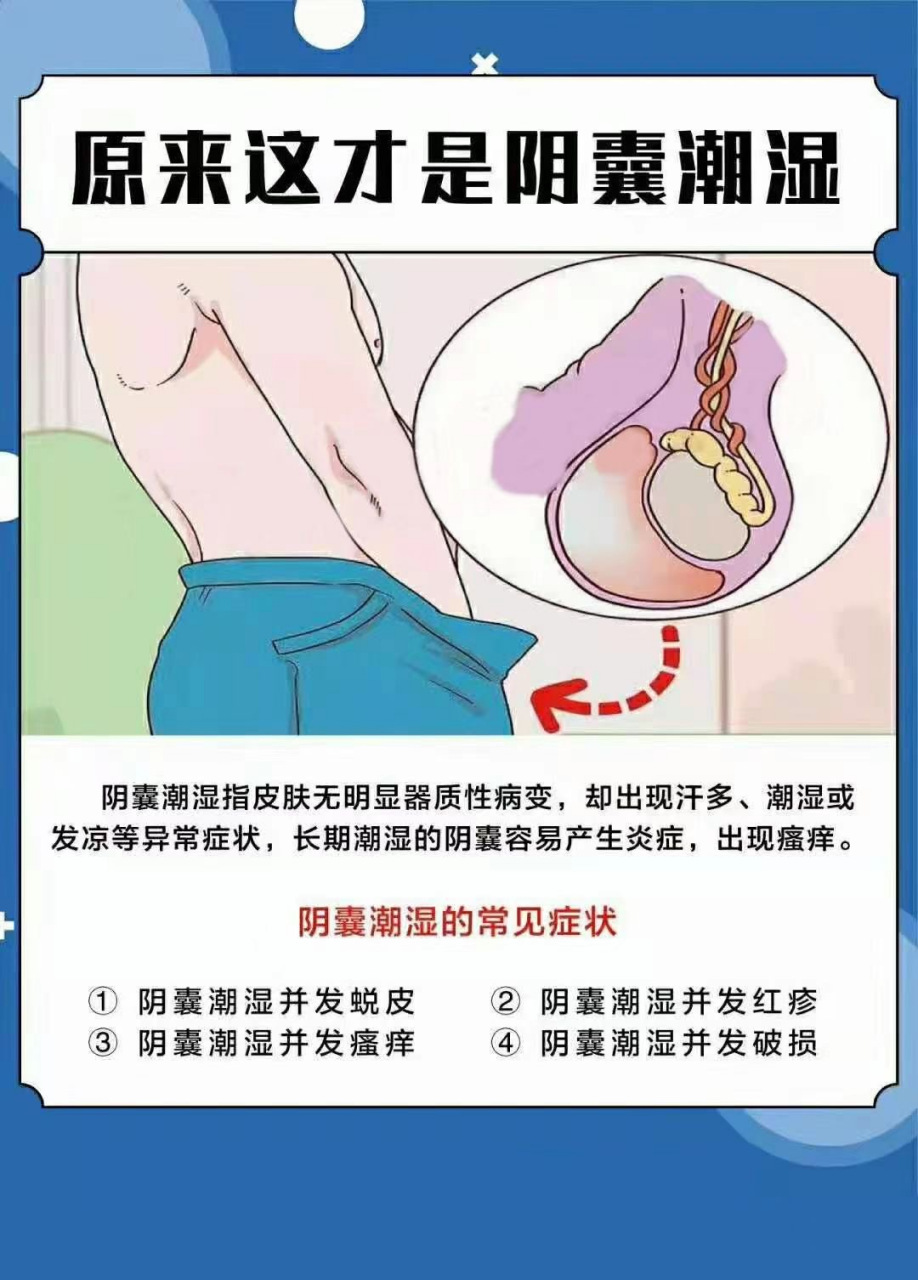 【男性健康科普】阴囊潮湿更青睐: 1,不讲卫生的男性; 2,湿气重的男性