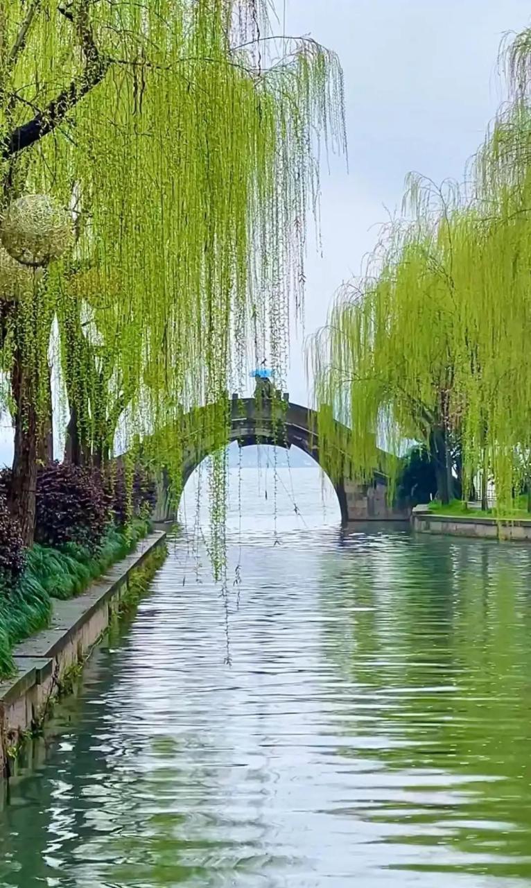 春天里,漫步花海,思绪飞扬!