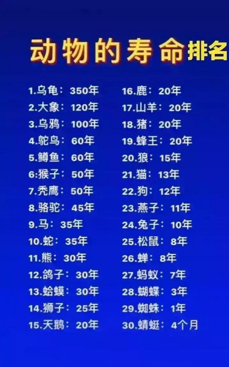 动物寿命排行榜,乌龟350年排名第一,老鹰50年第七,蛇35年第十,狮子