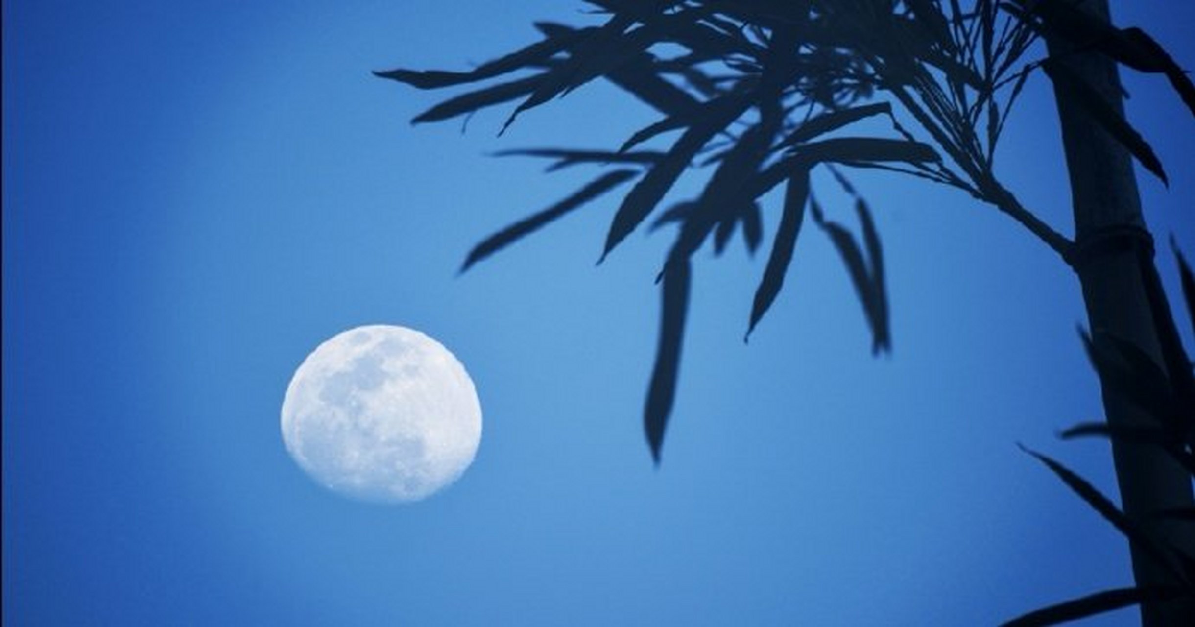 帘幕外,月华如水