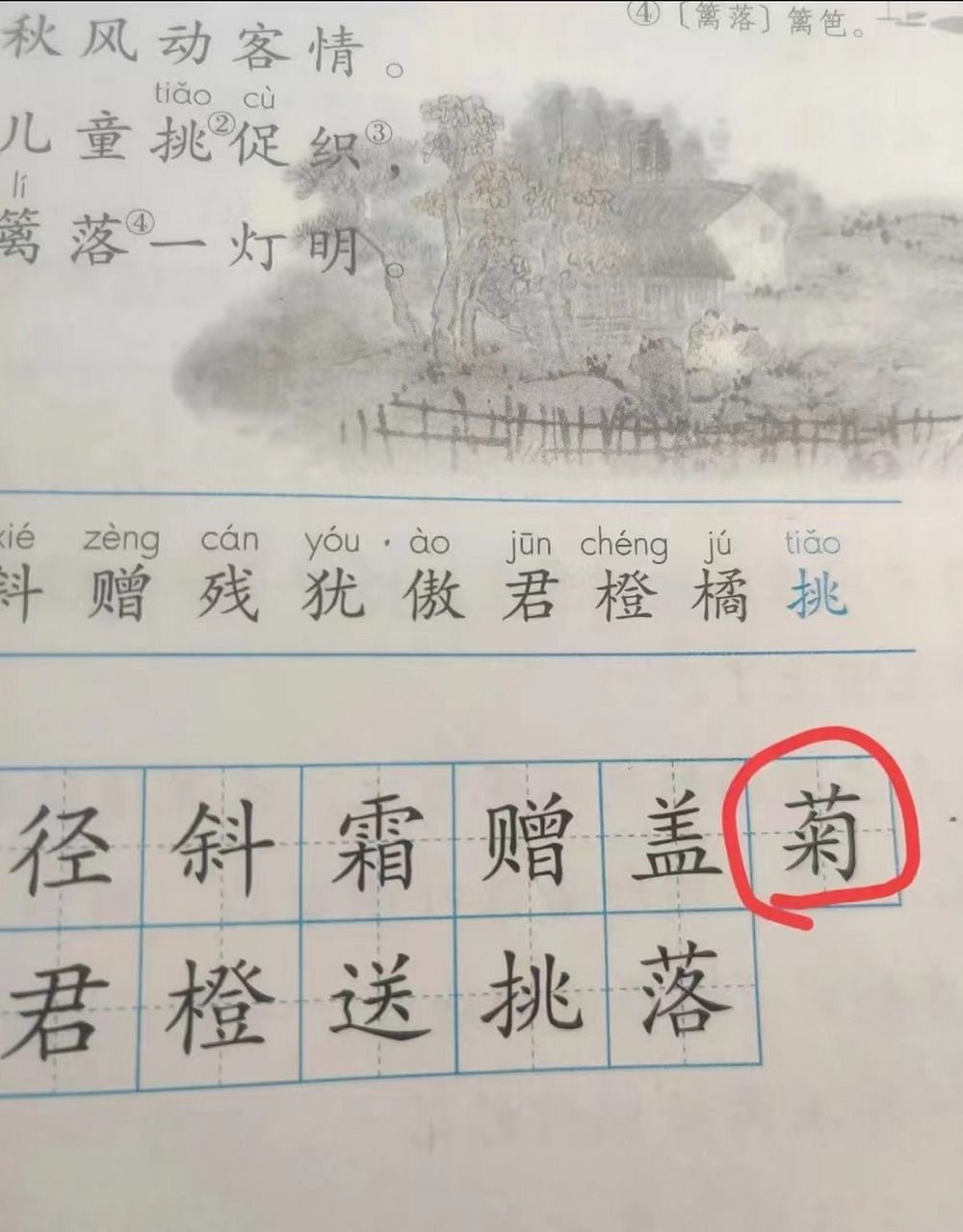 菊字组词图片