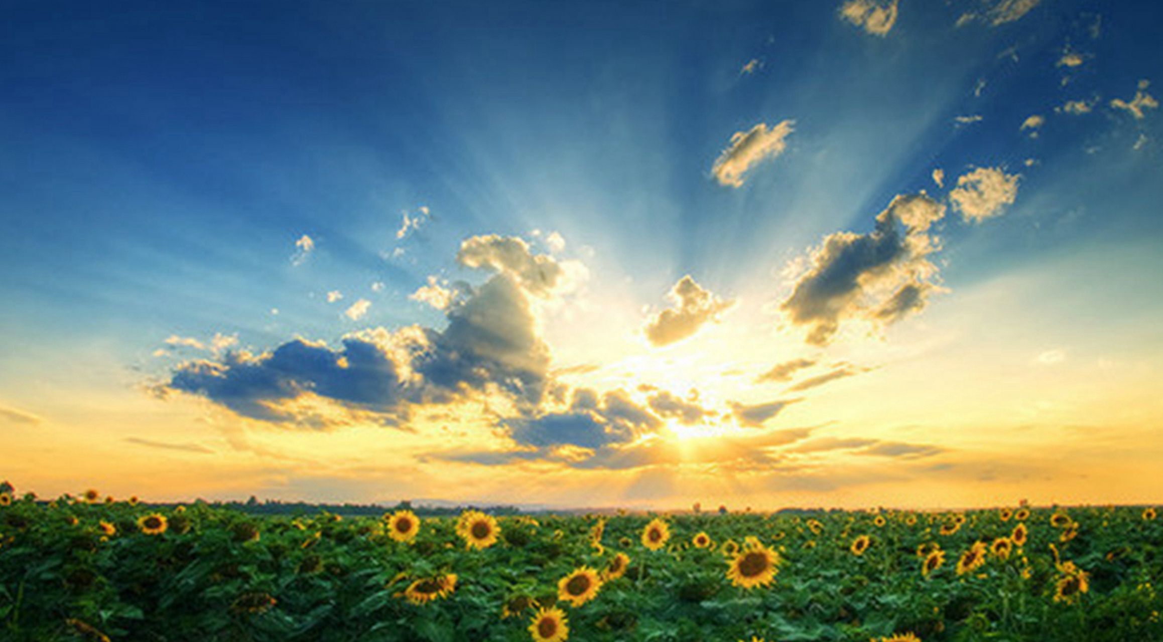 浪费春光被人嫌