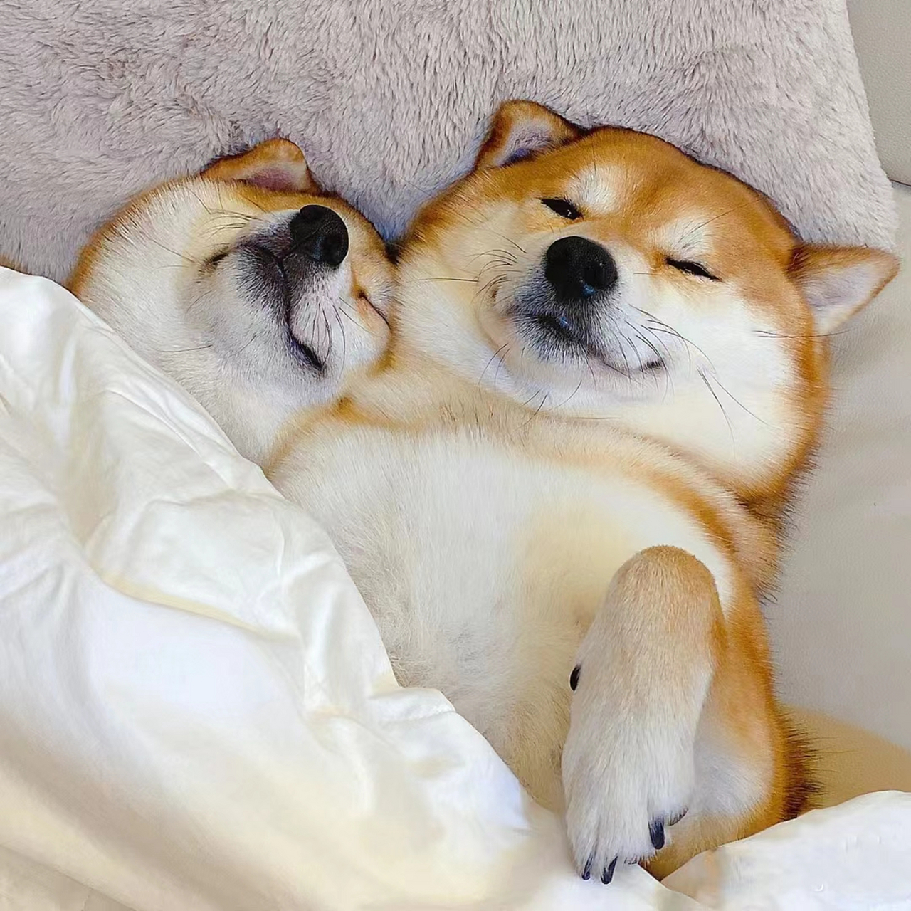 没有了呀~ 为什么我不提2.14,520和