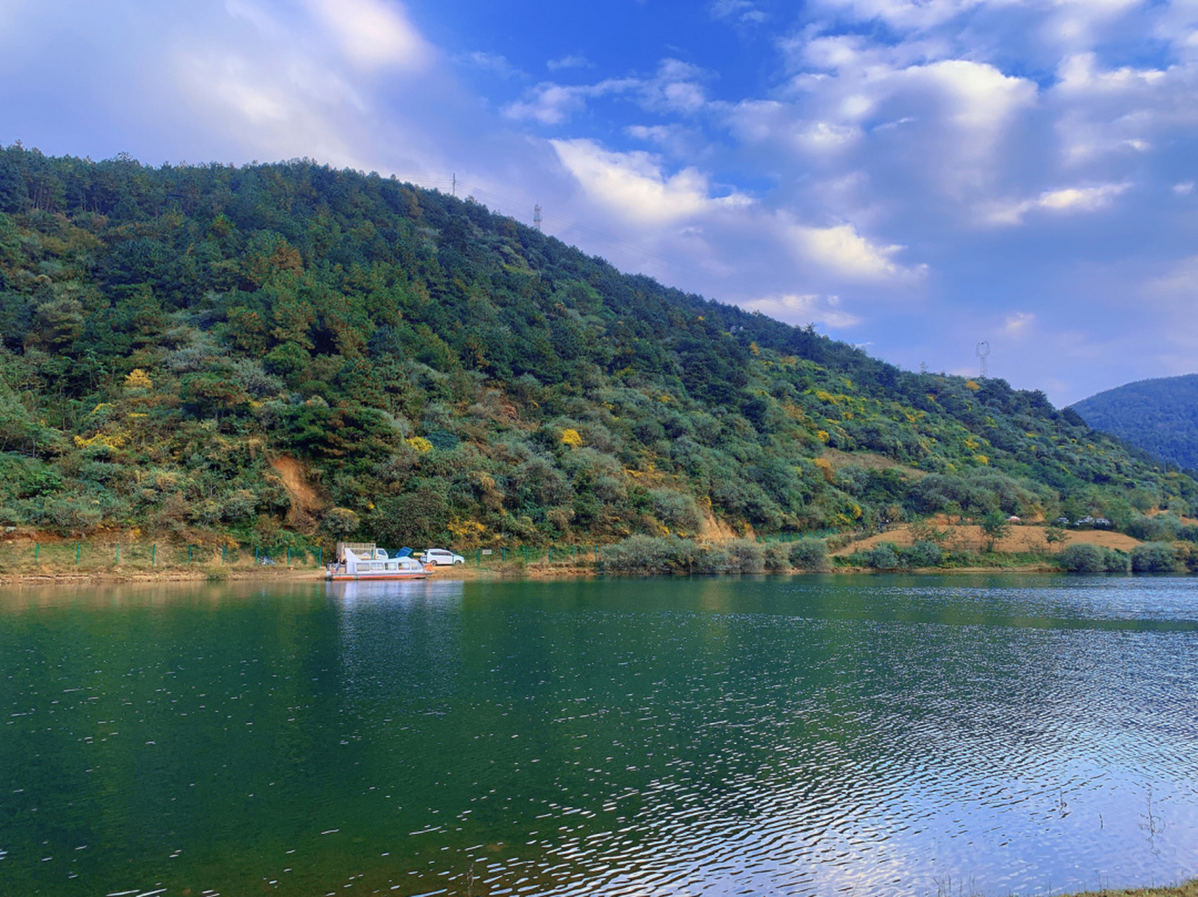 坐落在凉山州冕宁县大桥水库的桃花岛,秋冬的银杏树让人着迷.