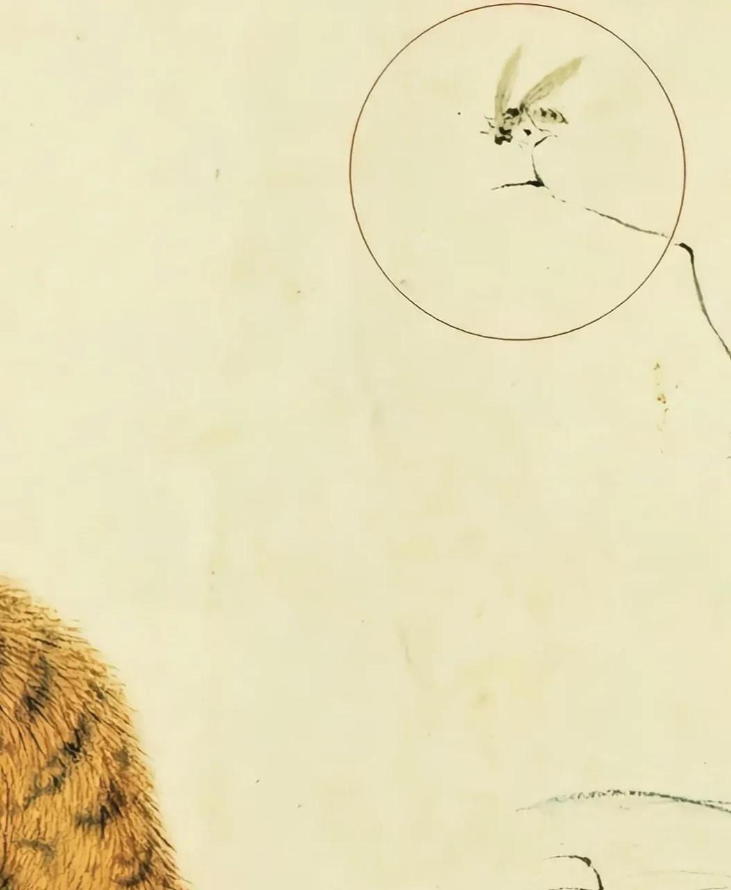 清朝画家华岩曾画了一幅《蜂虎图》,他将猛虎画成"病猫",却被称为千古