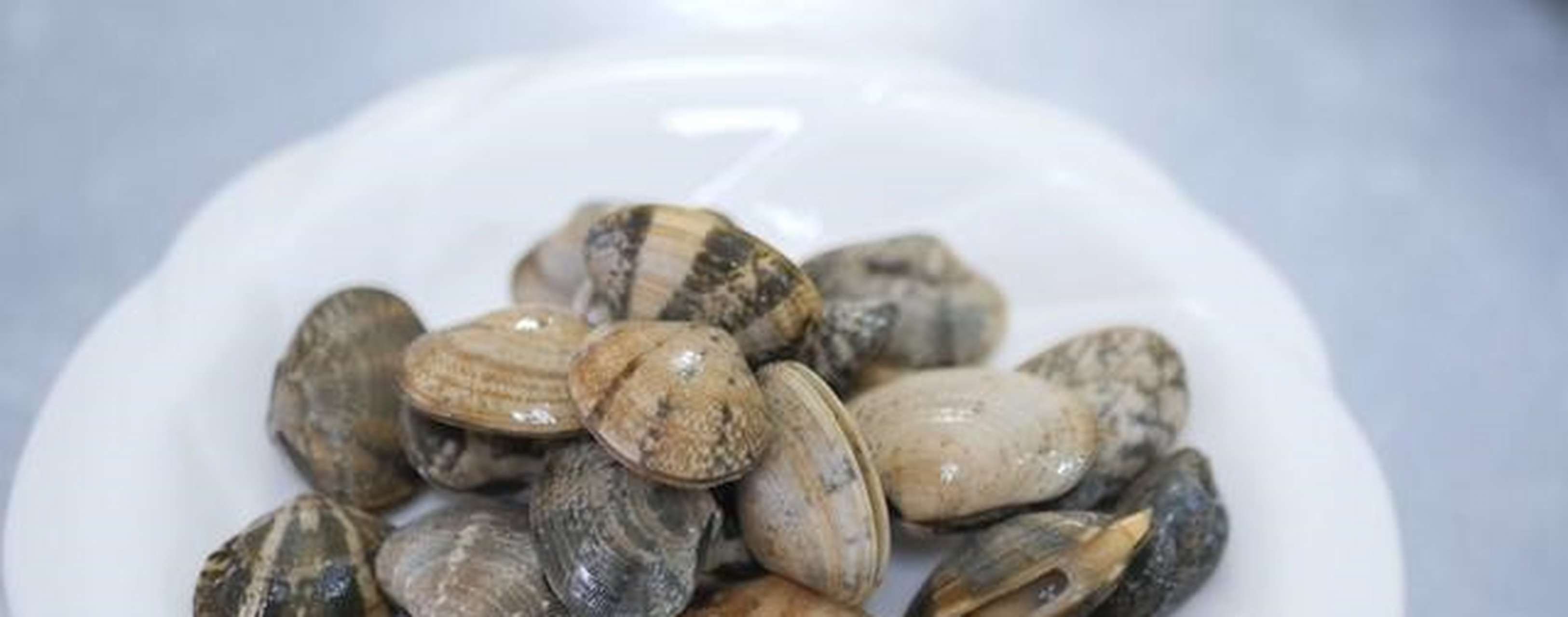 花蛤不叫花蛤,而是叫花甲,花蛤的学名又叫作菲律宾帘蛤,菲律宾蛤仔