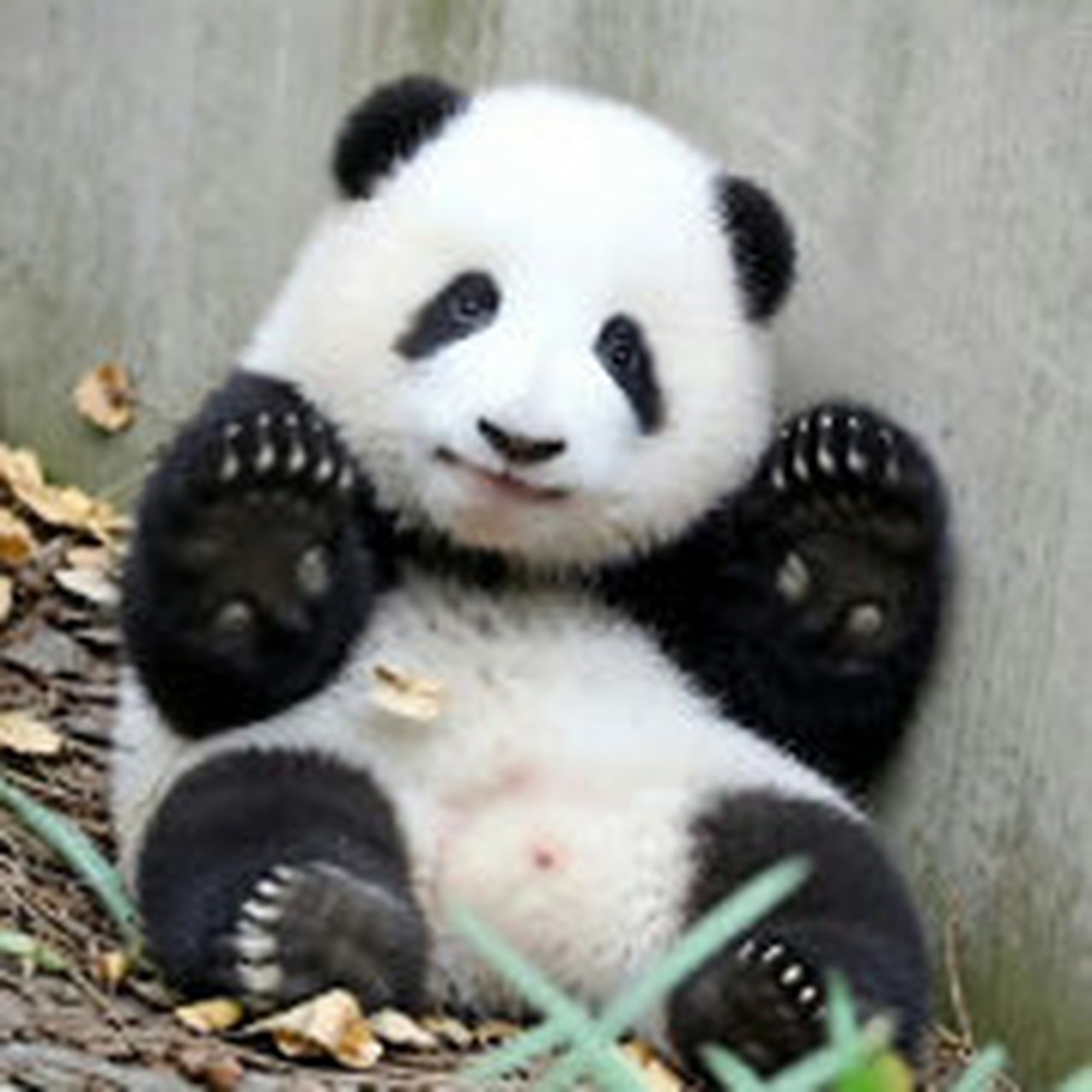 7月18日,成都大运会开幕倒计时10天.