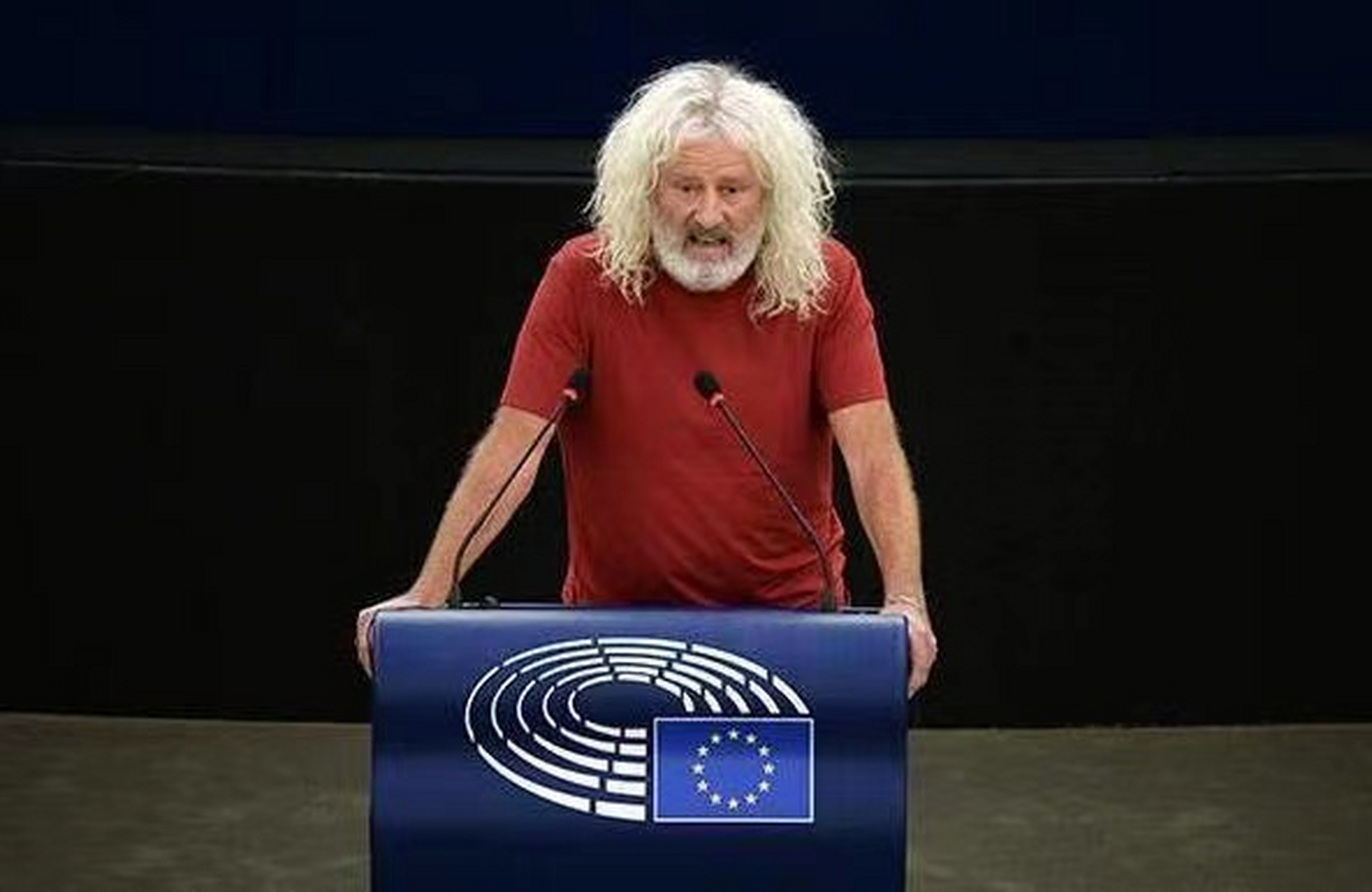 欧洲议会议员华莱士终于说出一句公道话!