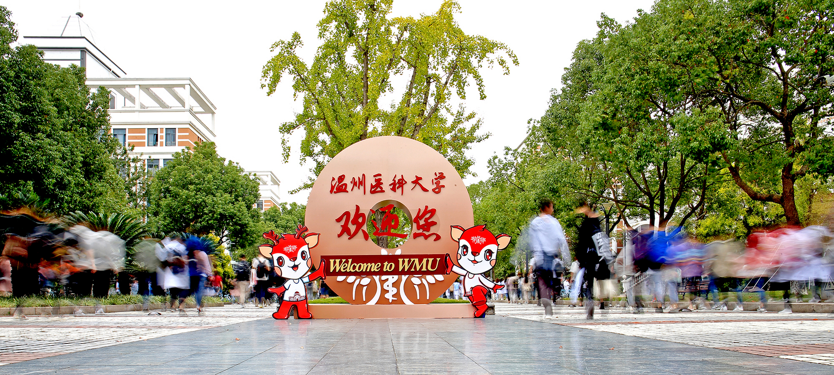 【再再突破!温州医科大学药理与毒理学学科首次进入esi全球前1‰】5月