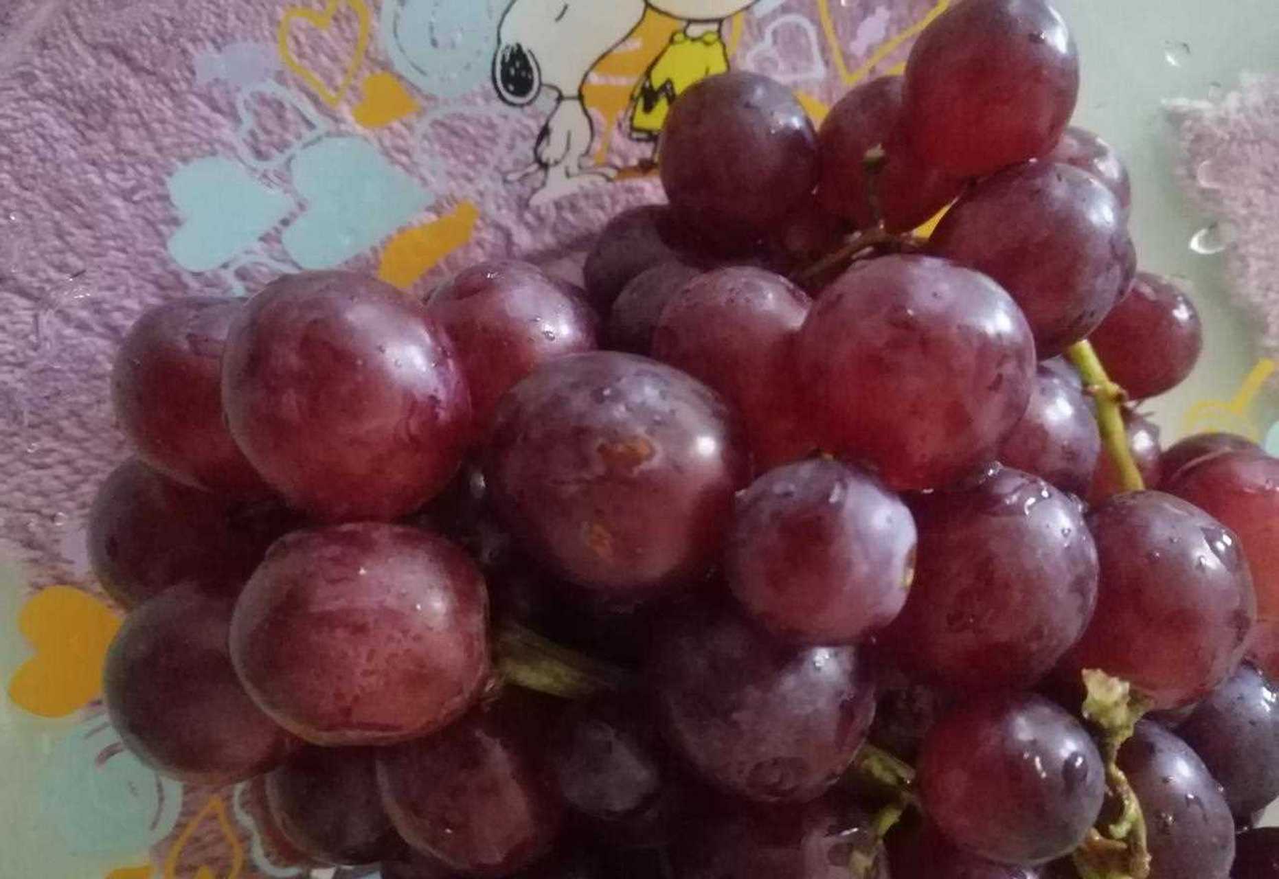 [嘿哈] 吃过不少葡萄品种,最近发现一种叫"弗雷无籽红提"的,又便宜又