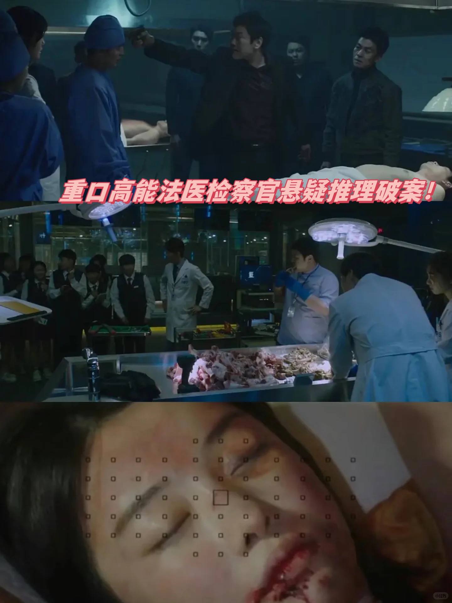 剧名:#检法男女2