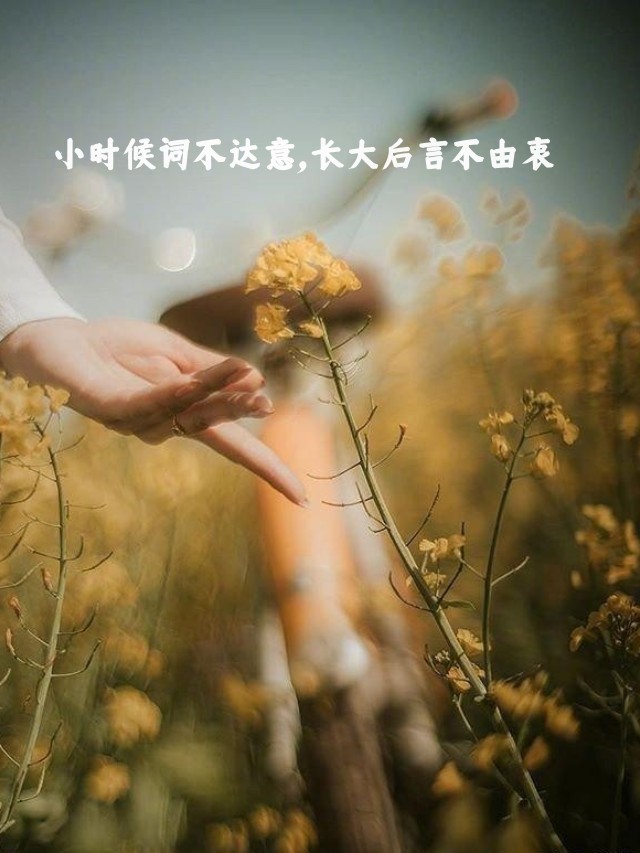 小时候词不达意,长大后言不由衷  小时候,我们词汇贫乏,难以表达内心