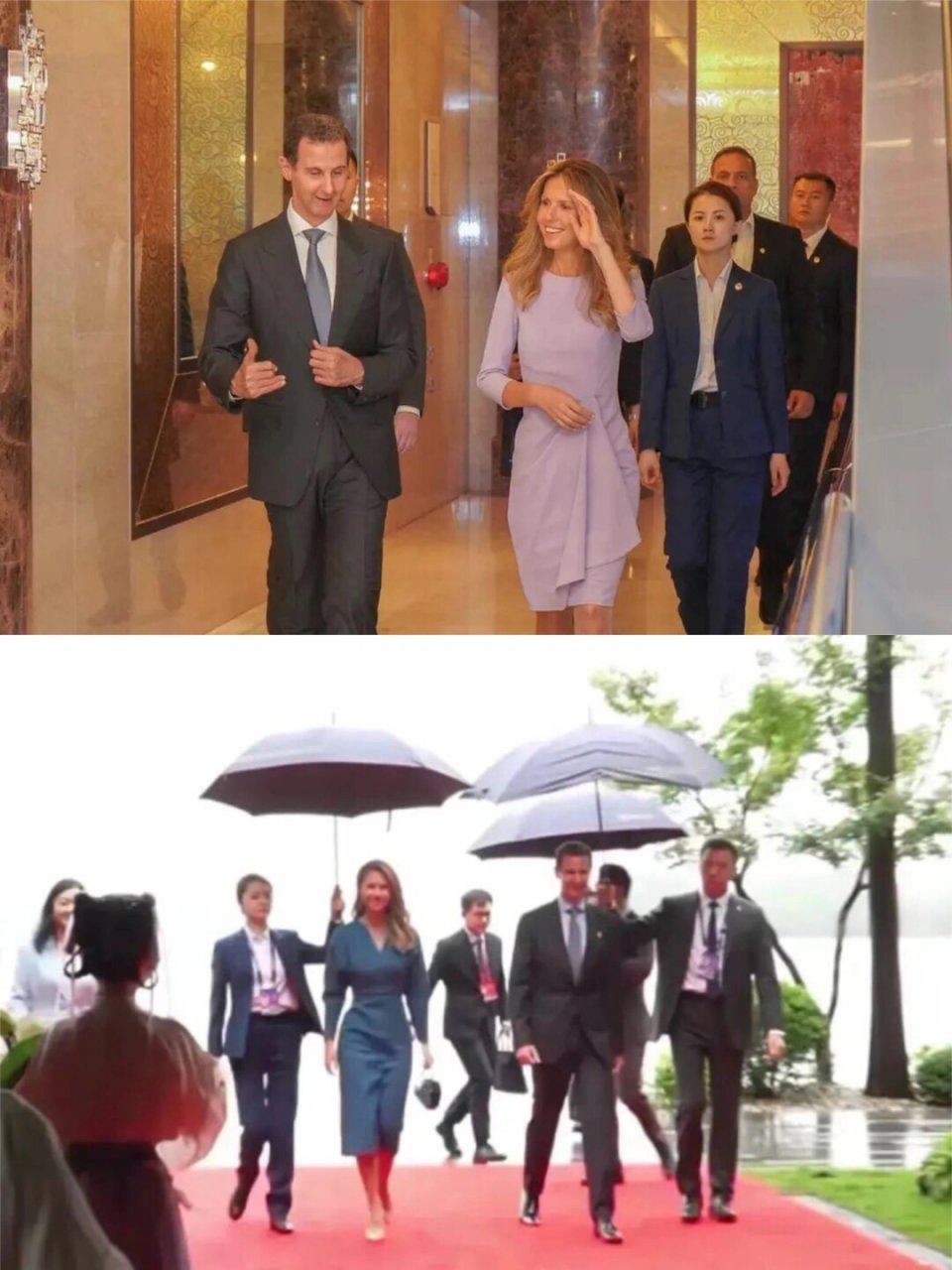 沙漠玫瑰贴身女保镖,娶她有何条件?