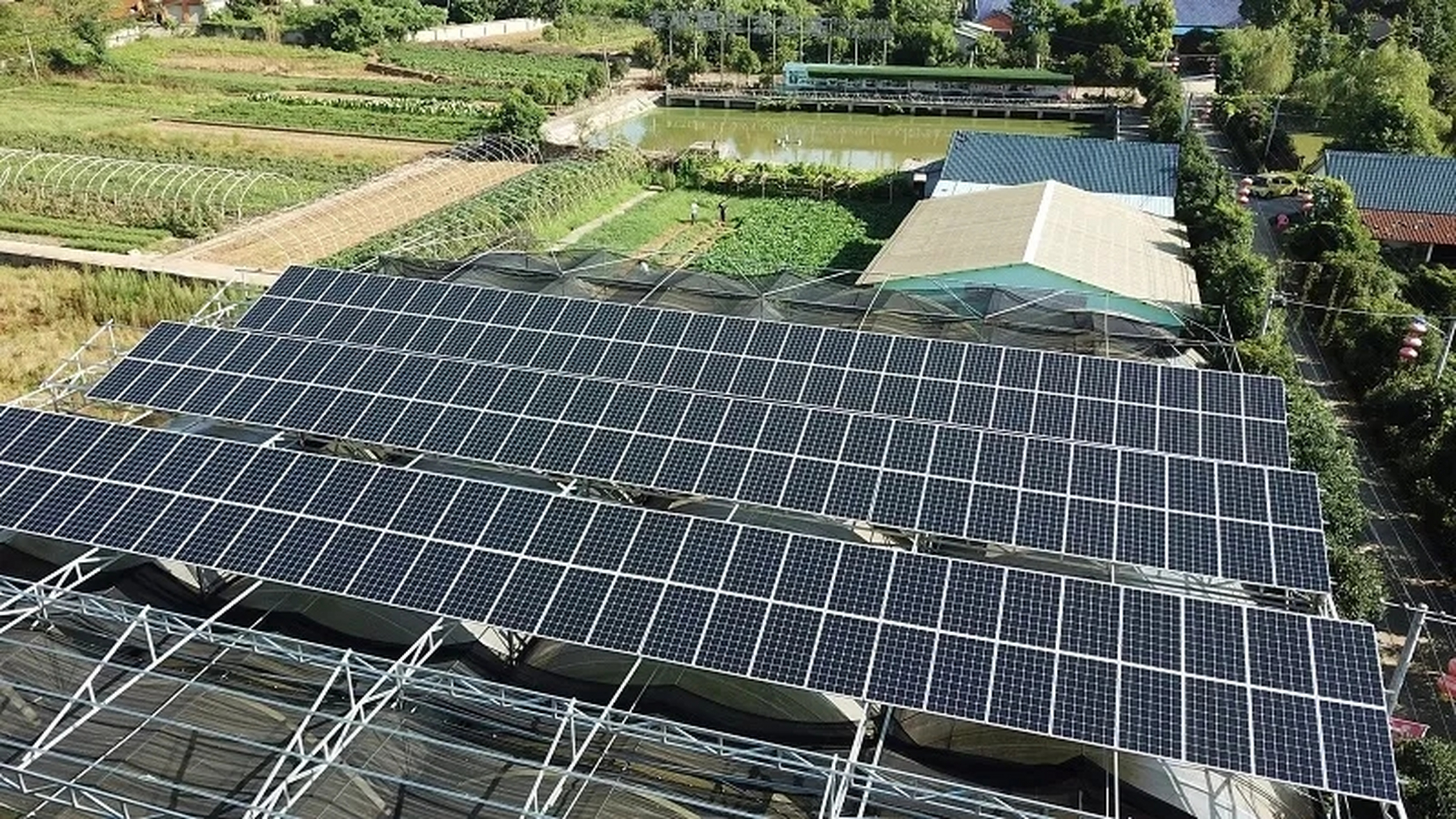 光伏太阳能温室大棚不仅可以产生电能,还为作物或食用菌提供适宜的