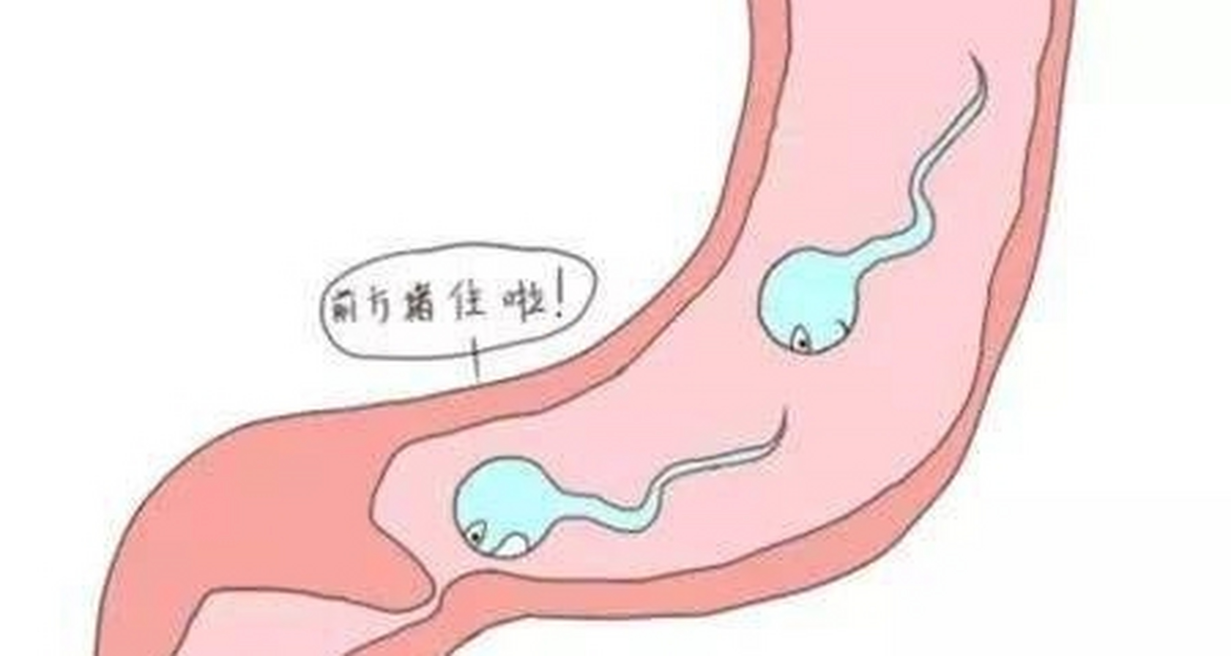 结扎后会影响男性功能吗?