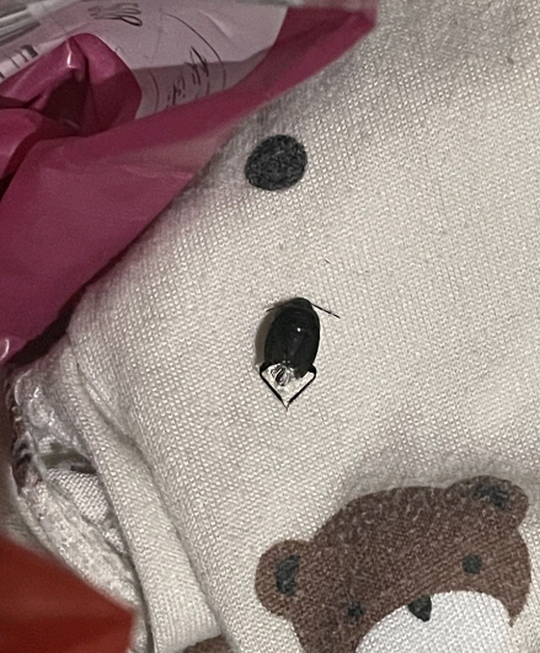 一觉醒来发现被子上有虫子,这种心情大家懂吗