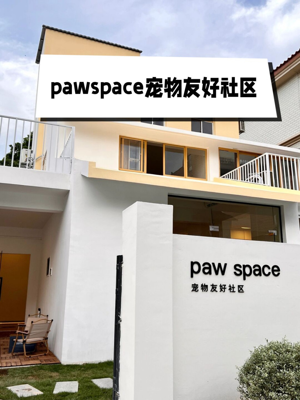 宠物视频：记录爱与陪伴的艺术