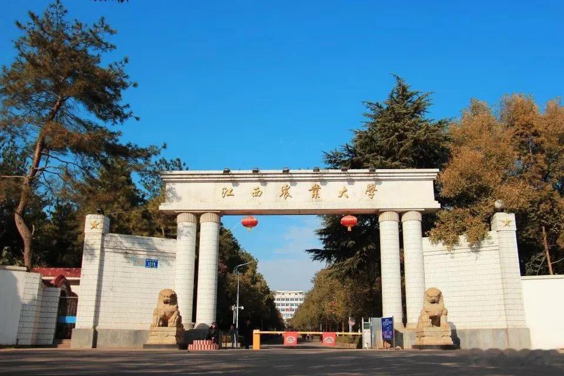 "真是让人可笑!"江西一位网友说,堂弟江西农业大学本科毕业,考了个乡