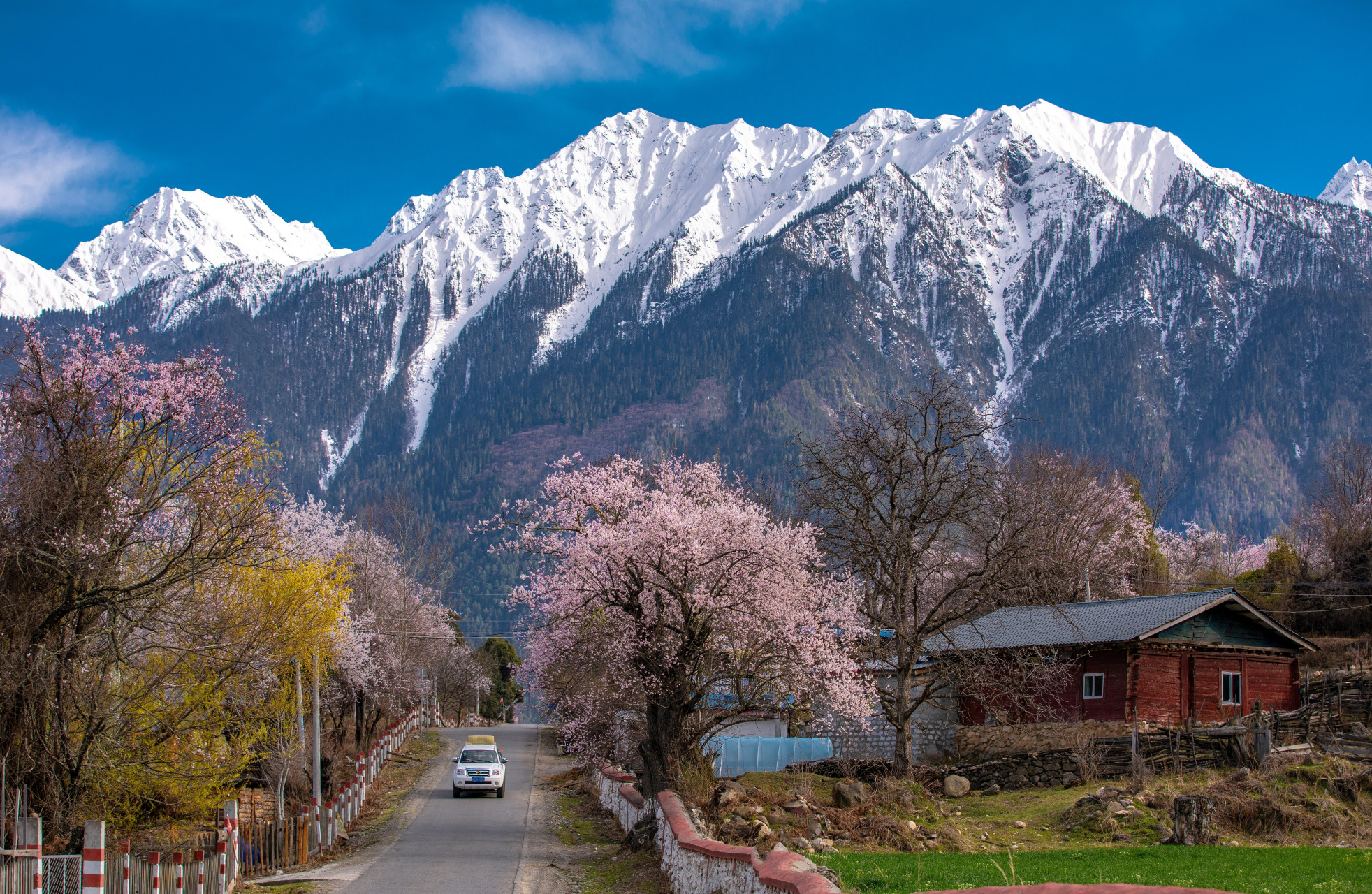 波密桃花谷位于中国西藏自治区林芝市波密县,是一处以桃花景观为主的