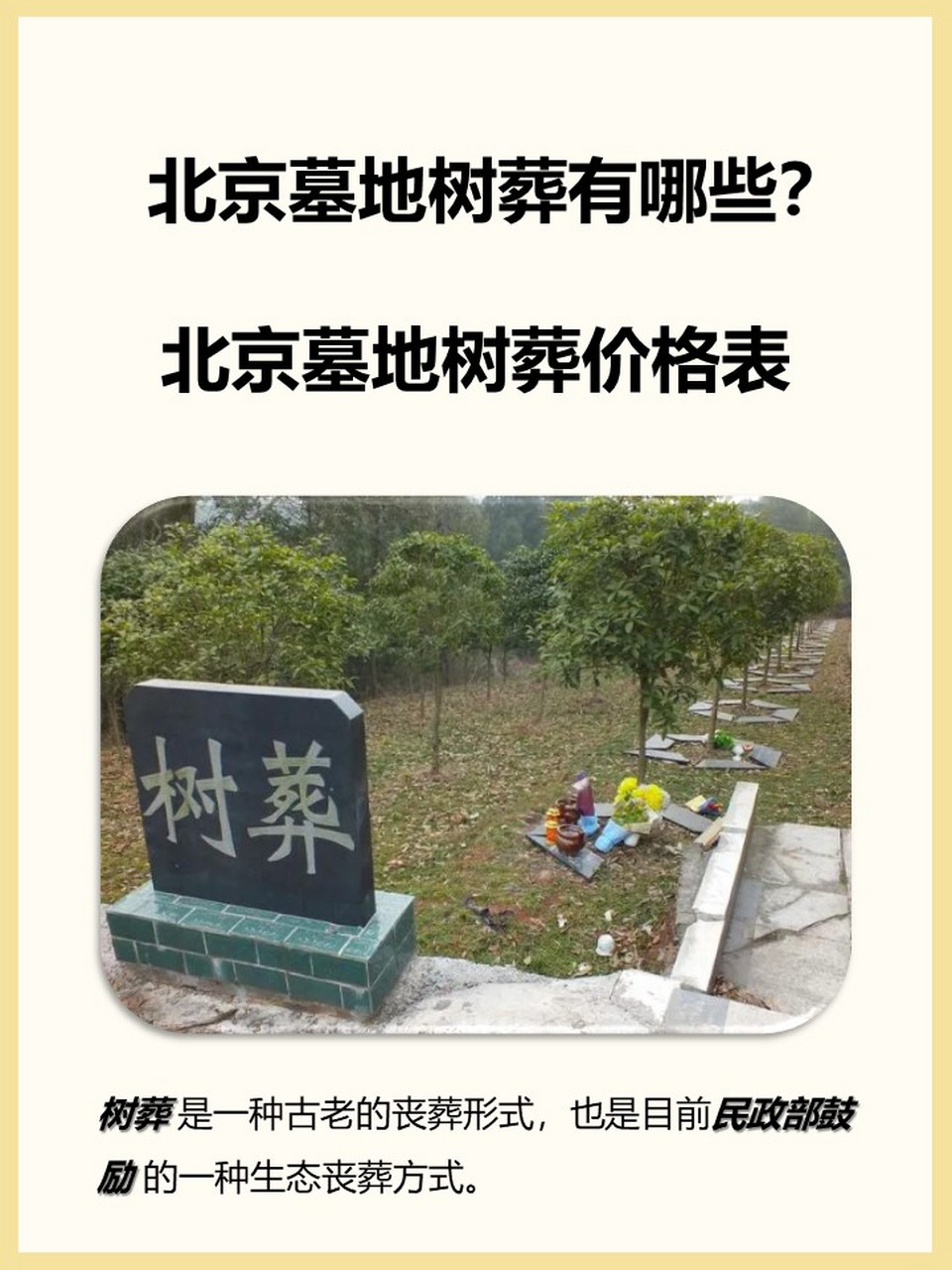 北京墓地树葬有哪些?