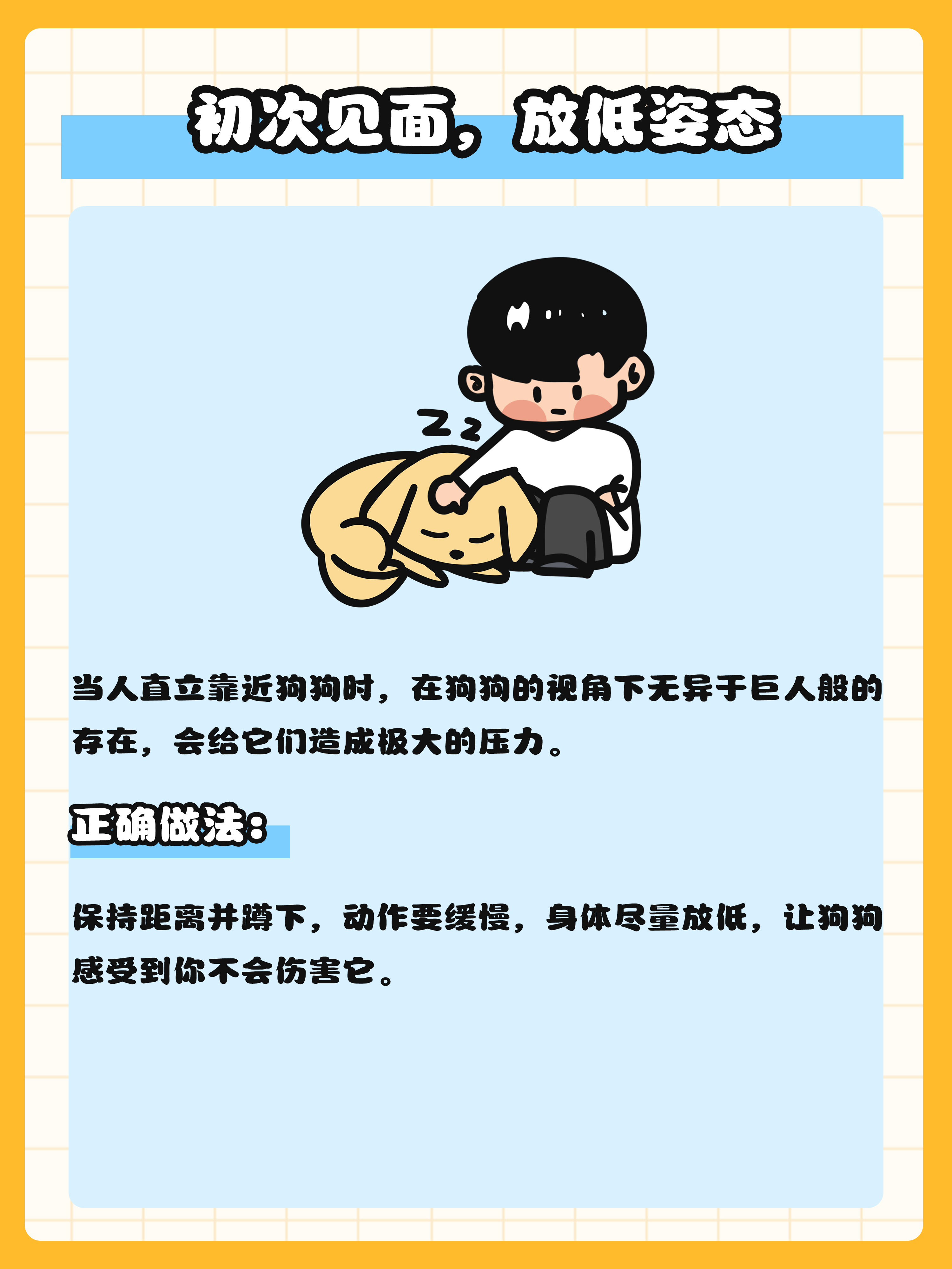让狗狗爱上你的5个方法