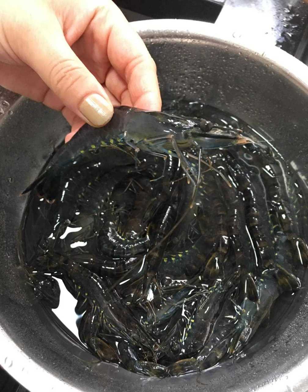 这虾没上市时,网上卖158元一斤,现在40一斤!