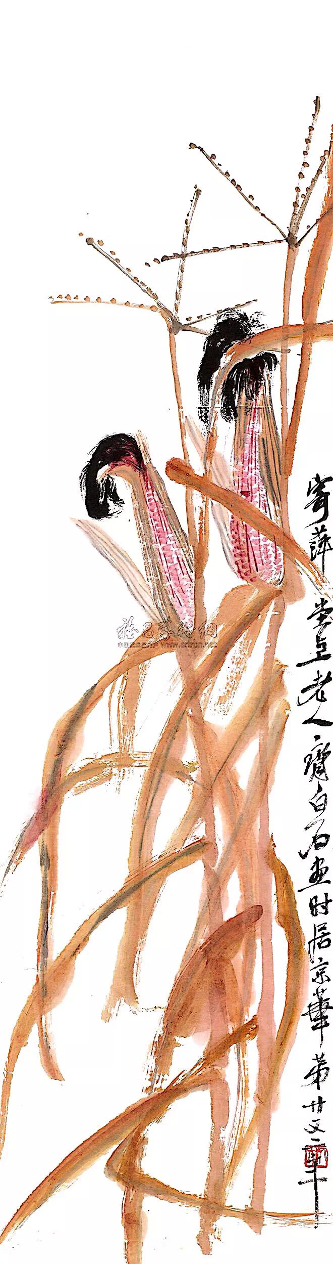 艺术# 齐白石笔下的玉米