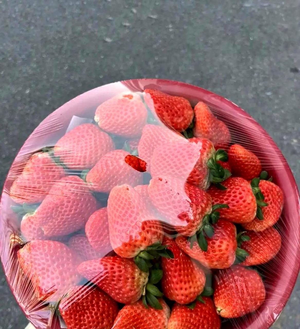 请不要低估我,今天我成功以全款购买了一盆草莓.