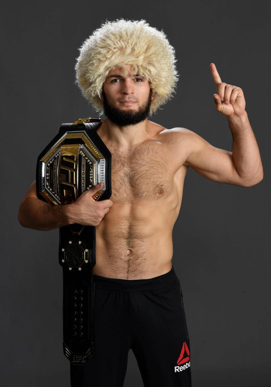 哈比布近日在社交媒体上列出了他心目中的综合格斗史上最佳前十五名单